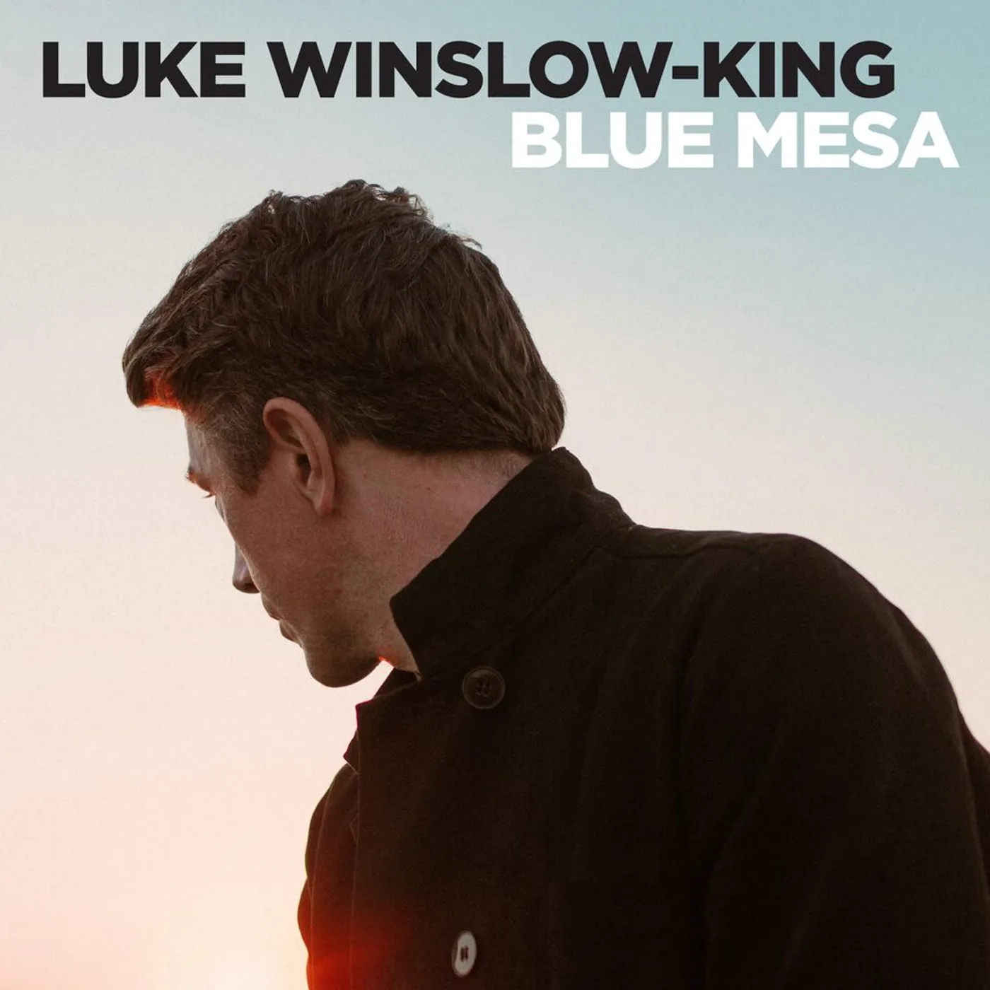 Luke Winslow-King BLUE MESA CD