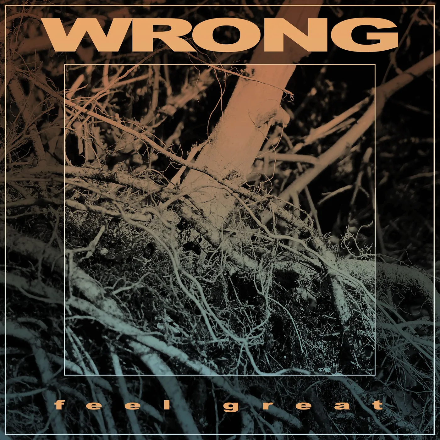 WRONG FEEL GREAT CD