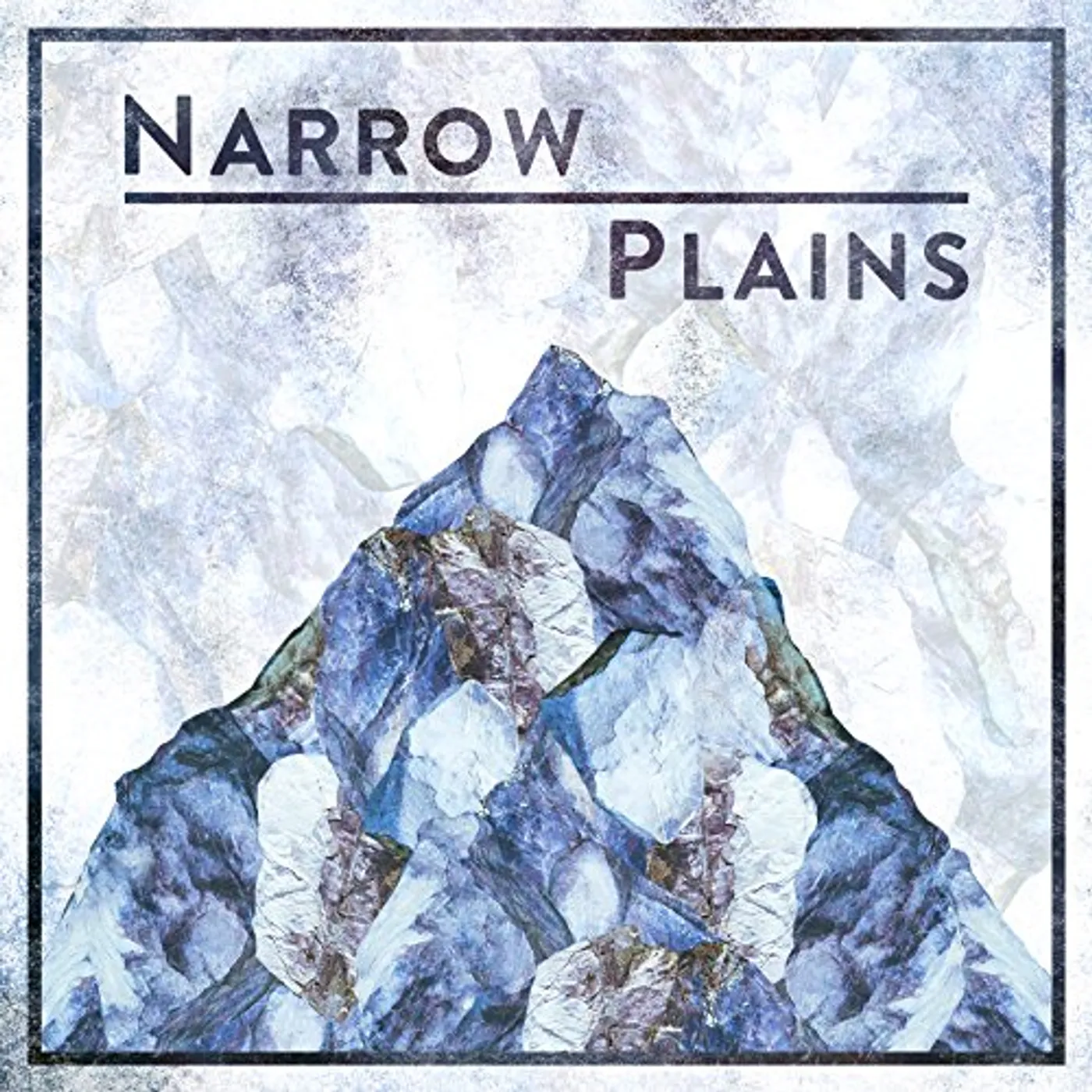 NARROW PLAINS CD