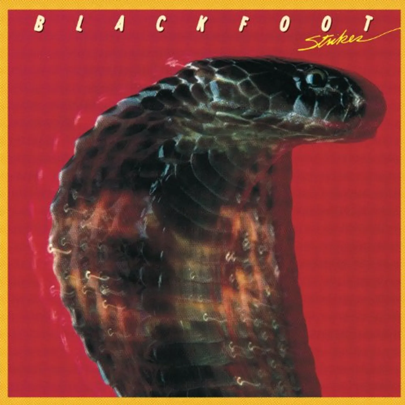 Blackfoot Strikes Vinyl Record