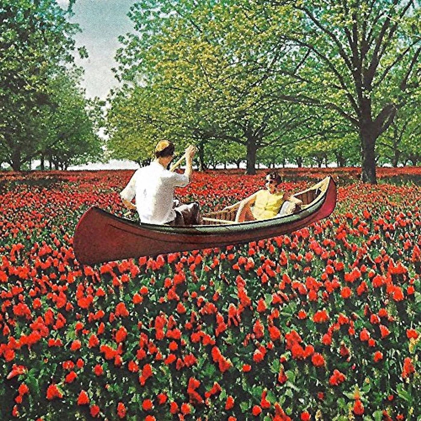 Elder Brother Stay Inside Vinyl Record