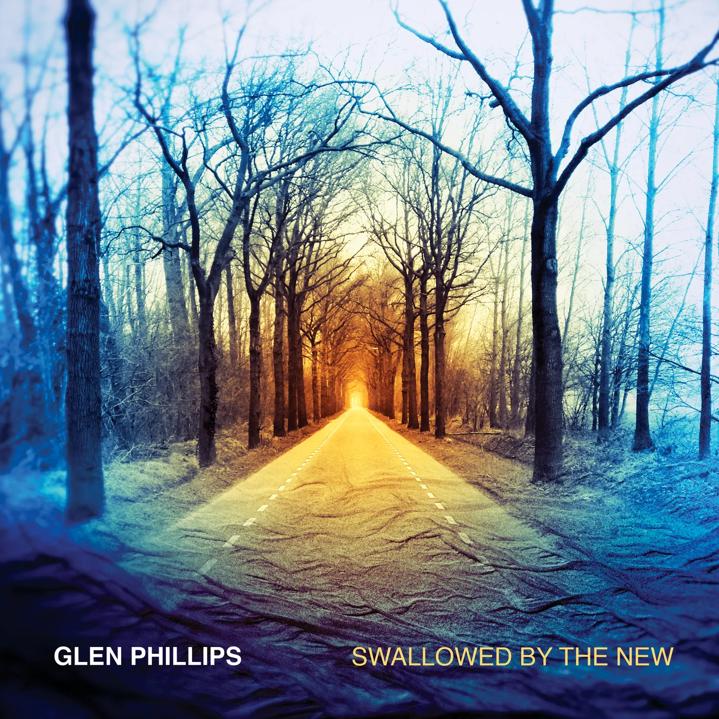 Glen Phillips SWALLOWED BY THE NEW (DELUXE EDITION) CD