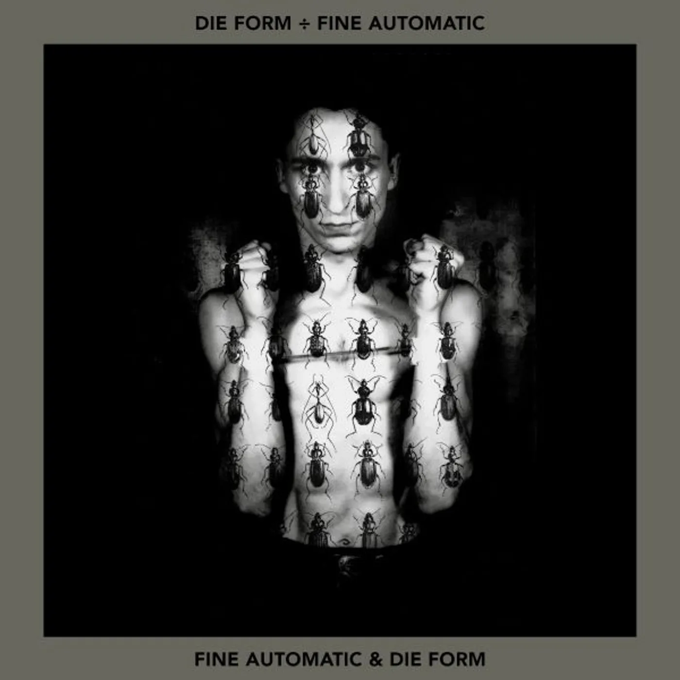 Die Form & Fine Automatic Fine Automatic & Die Form Vinyl Record