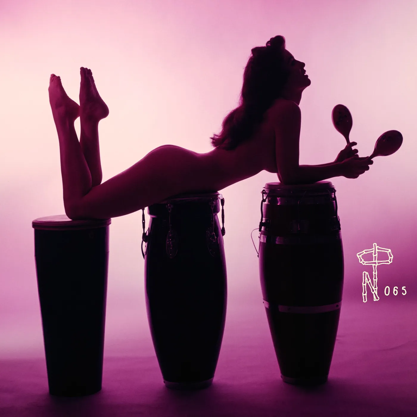 TECHNICOLOR PARADISE: RHUM RHAPSODIES / VARIOUS Vinyl Record