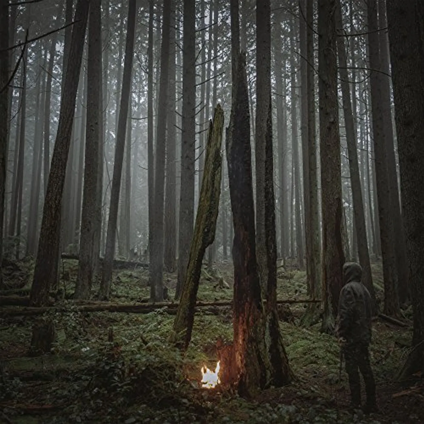 Baptists Beacon of Faith Vinyl Record