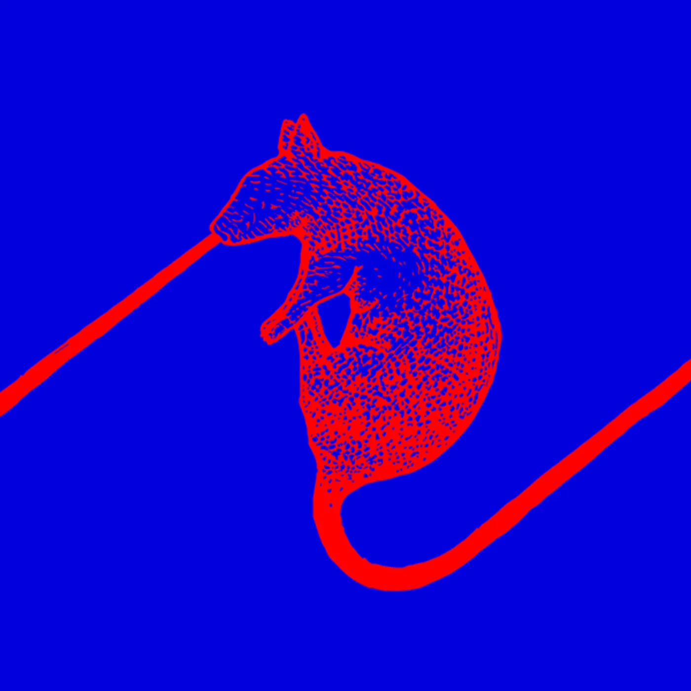 The Dwarfs of East Agouza Rats Don't Eat Synthesizers Vinyl Record