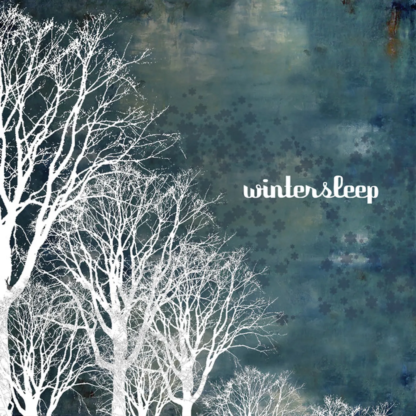 Wintersleep Vinyl Record