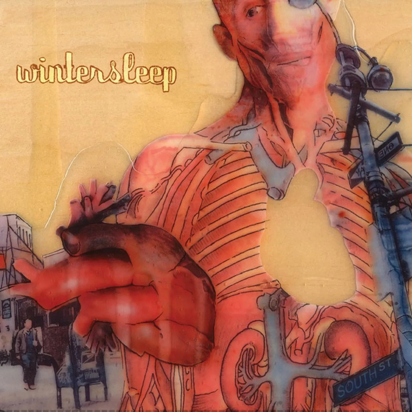 Wintersleep Untitled Vinyl Record