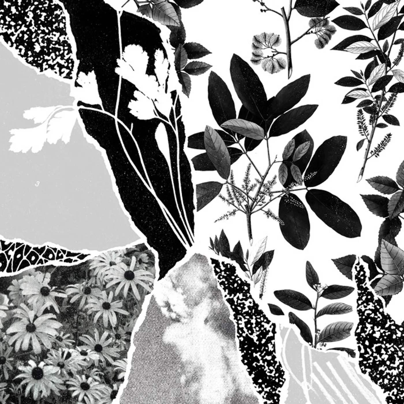 Ponctuation Mon herbier du monde entier Vinyl Record