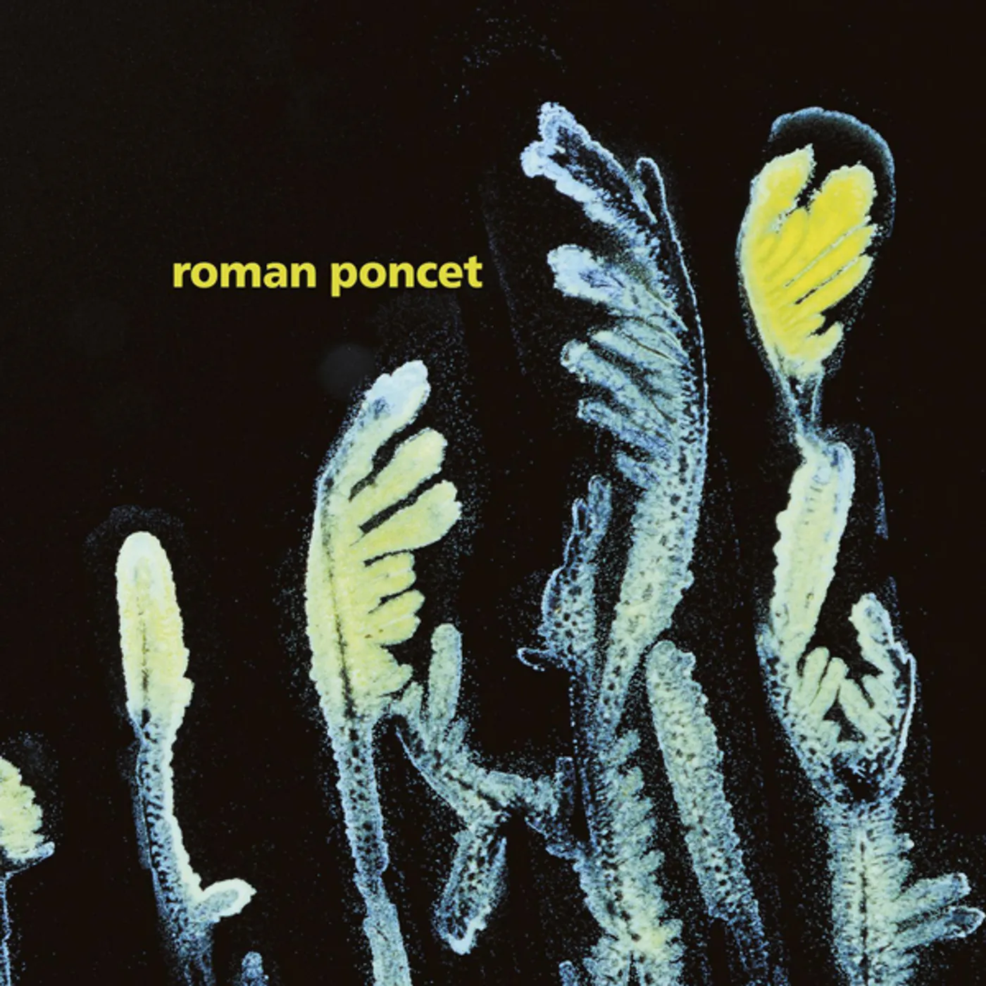 Roman Poncet Gypsophila Vinyl Record