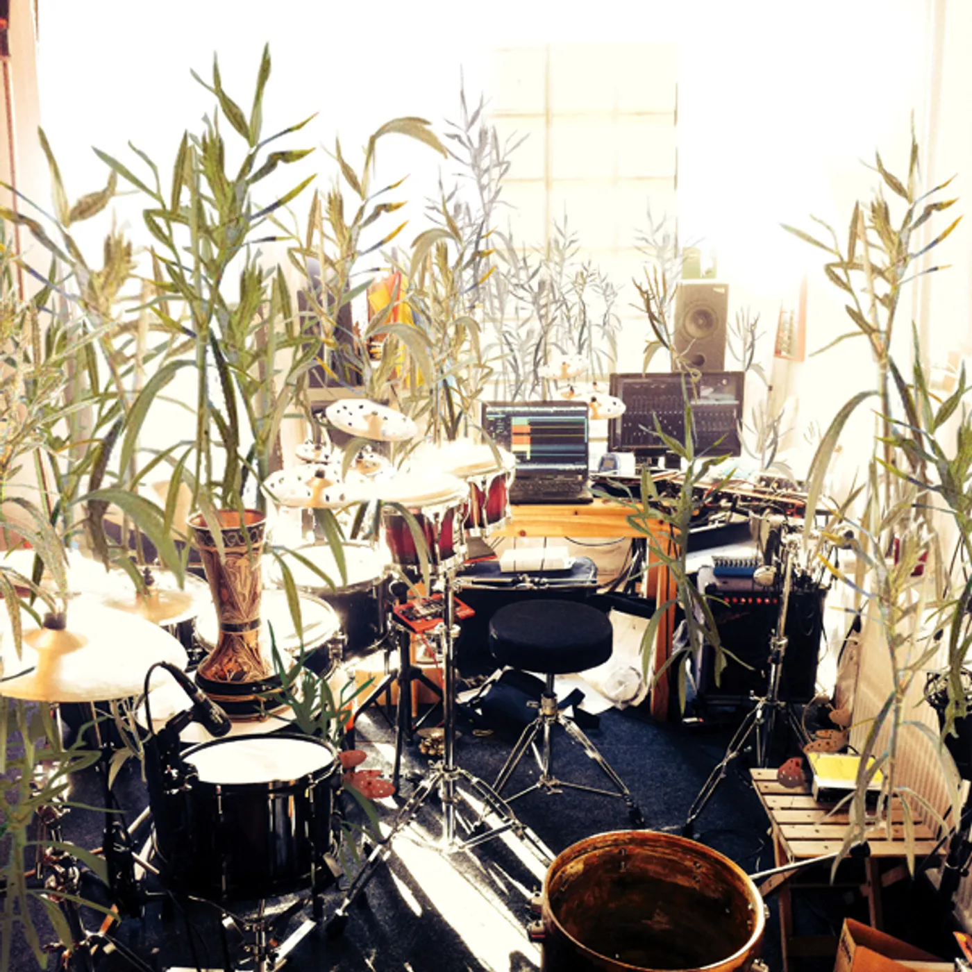 Giraffe CLIMATE Vinyl Record