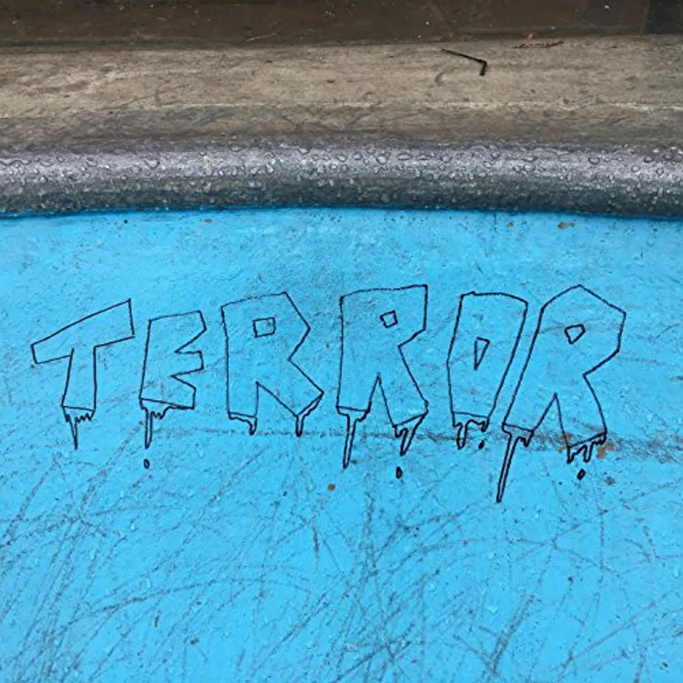 Wonk Unit TERROR CD