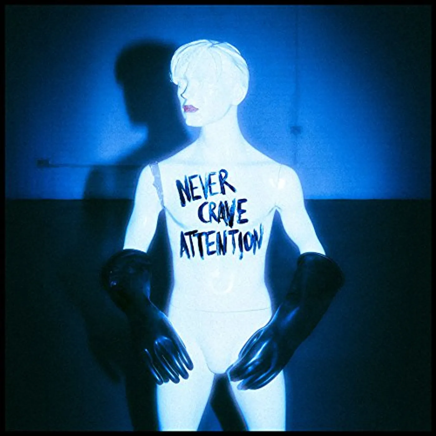 The Ninth Wave Never Crave Attention Vinyl Record