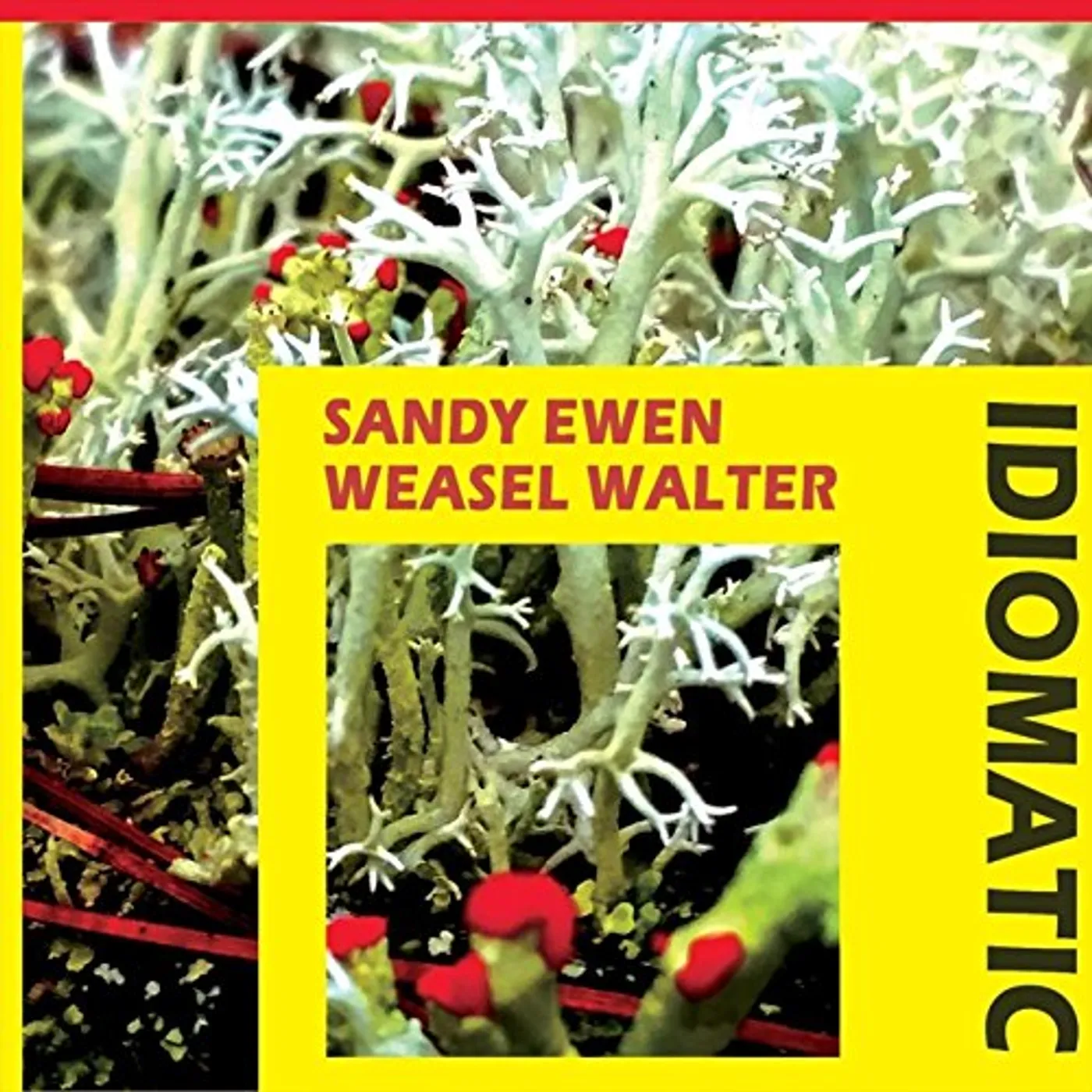 Sandy Ewen IDIOMATIC CD
