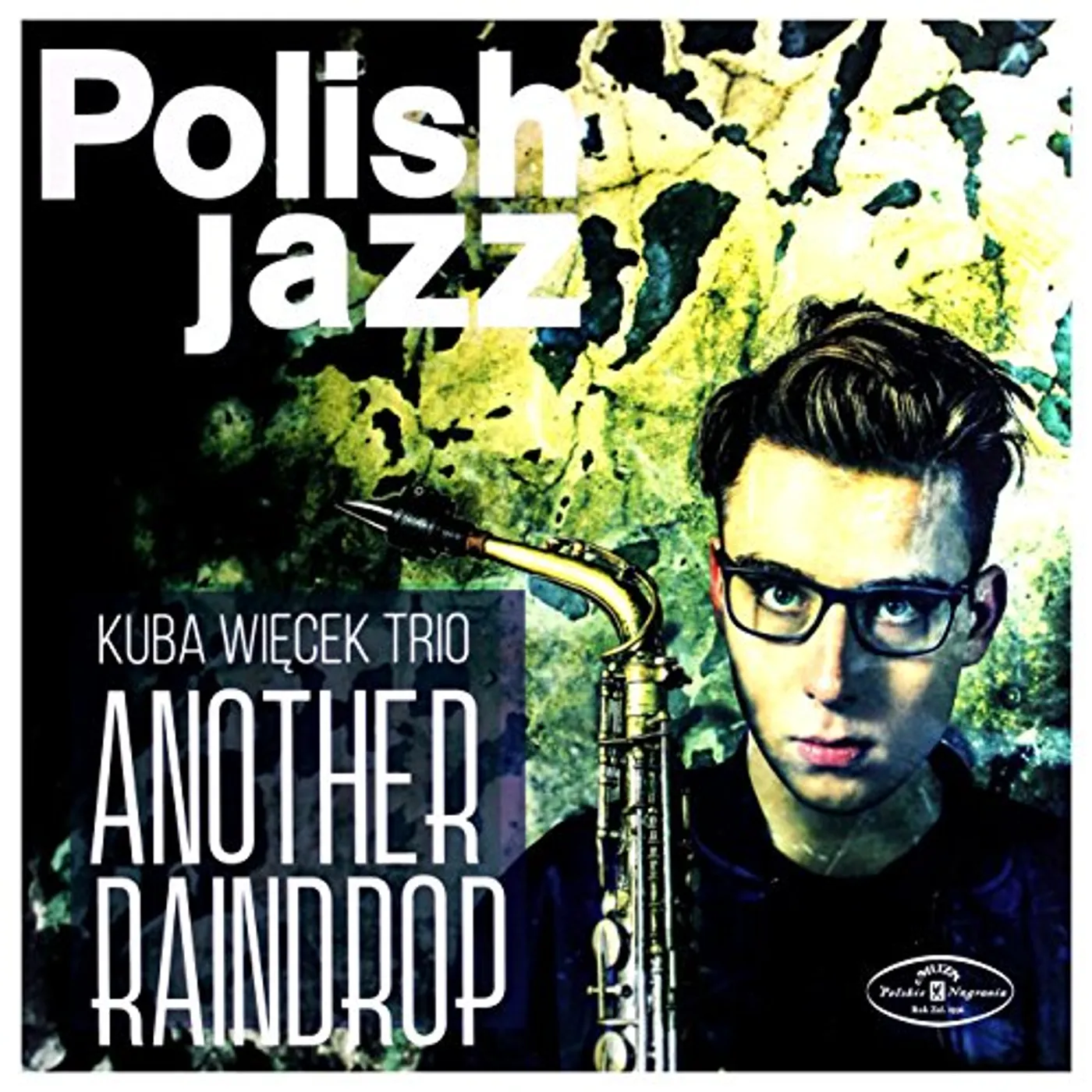 Kuba Wiecek Trio Another Raindrop Vinyl Record