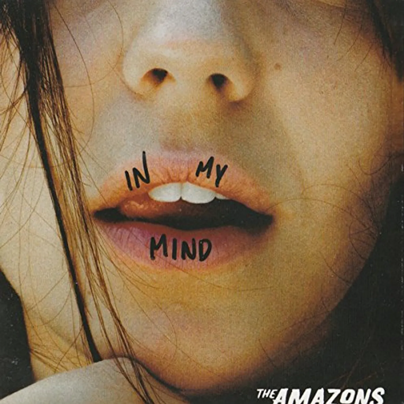 The Amazons In My Mind / Little Something Vinyl Record