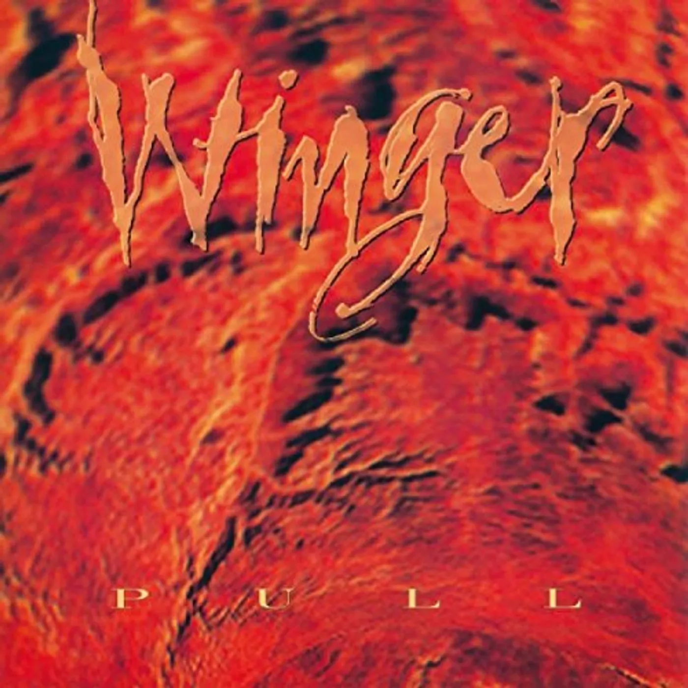 Winger Pull Vinyl Record