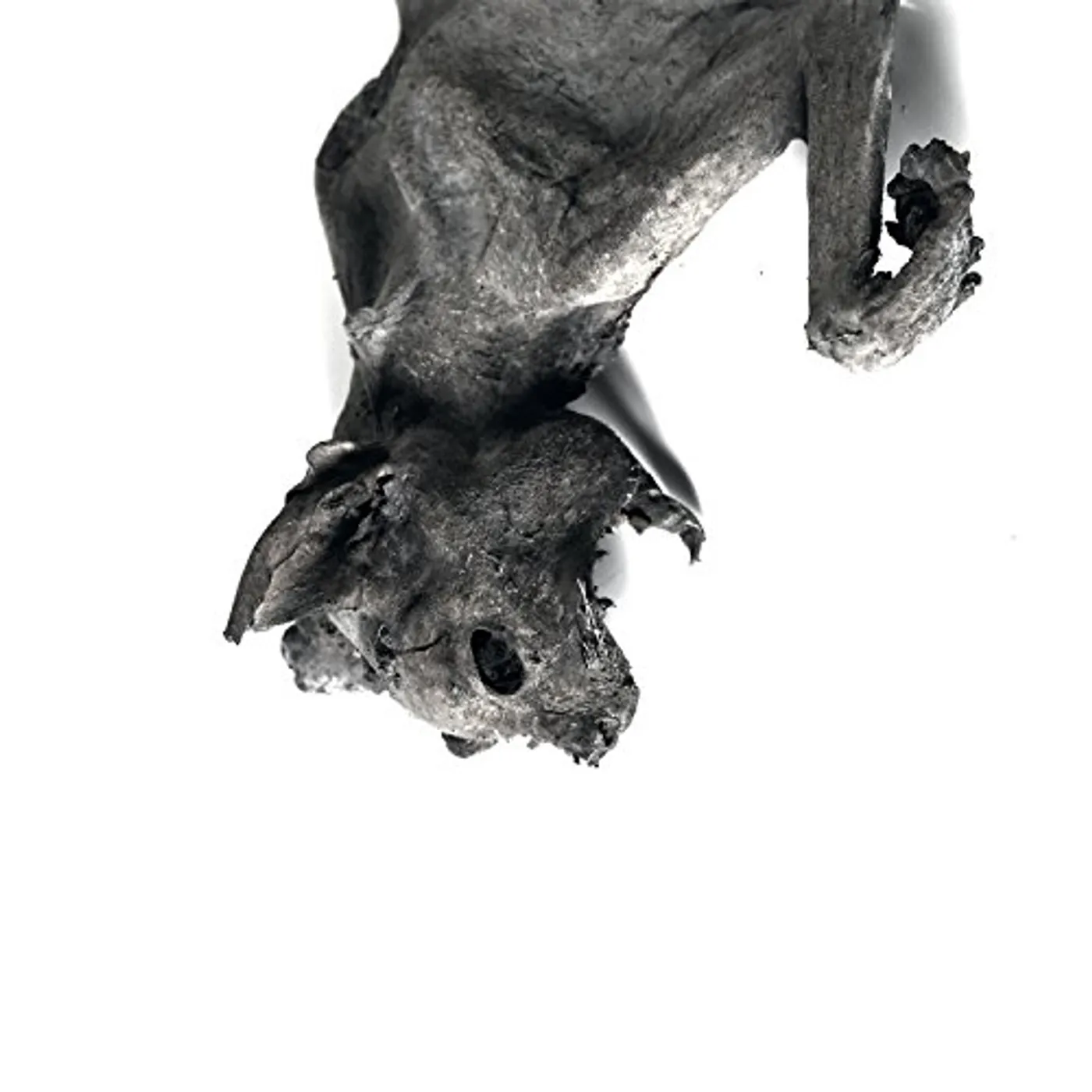 Nordvargr METEMPSHYCHOSIS CD