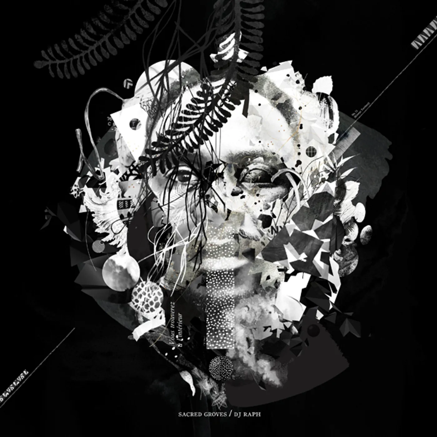 Dj Raph Sacred Groves Vinyl Record