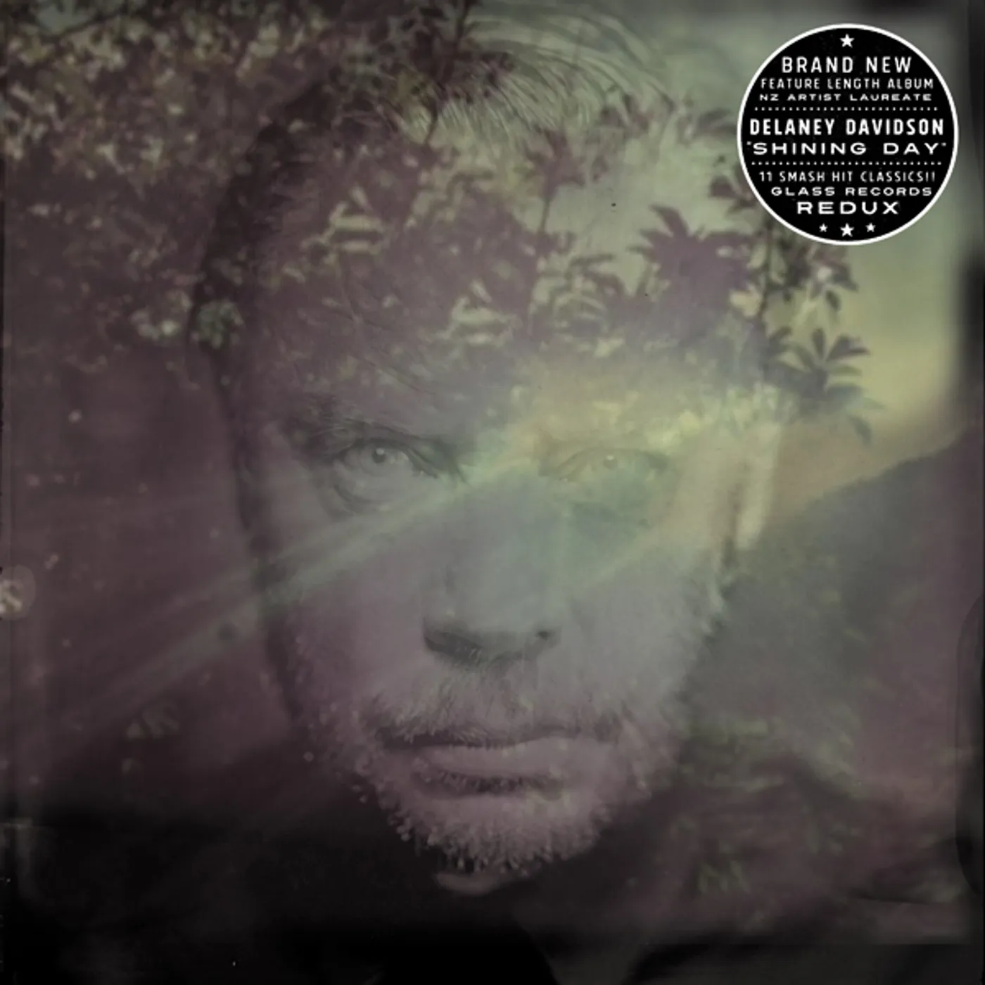 Delaney Davidson Shining Day Vinyl Record