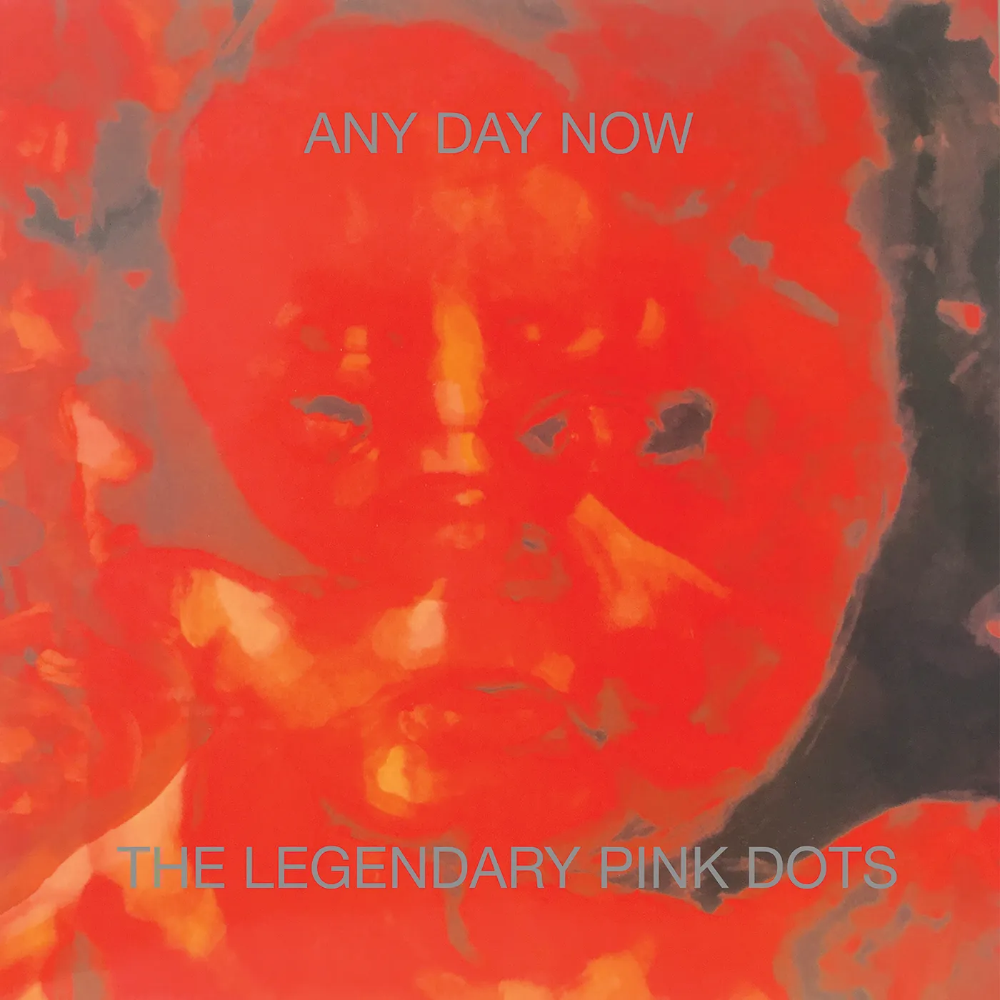 The Legendary Pink Dots ANY DAY NOW CD