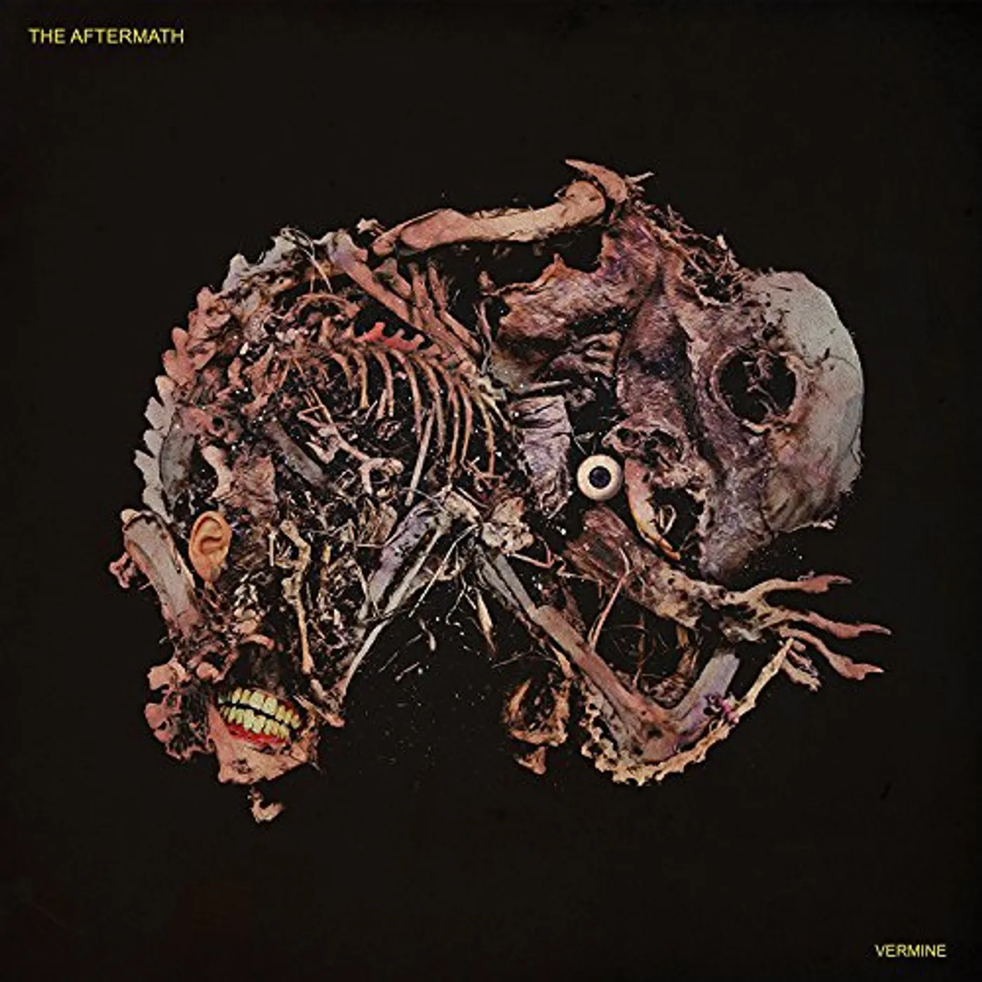 Aftermath VERMINE CD