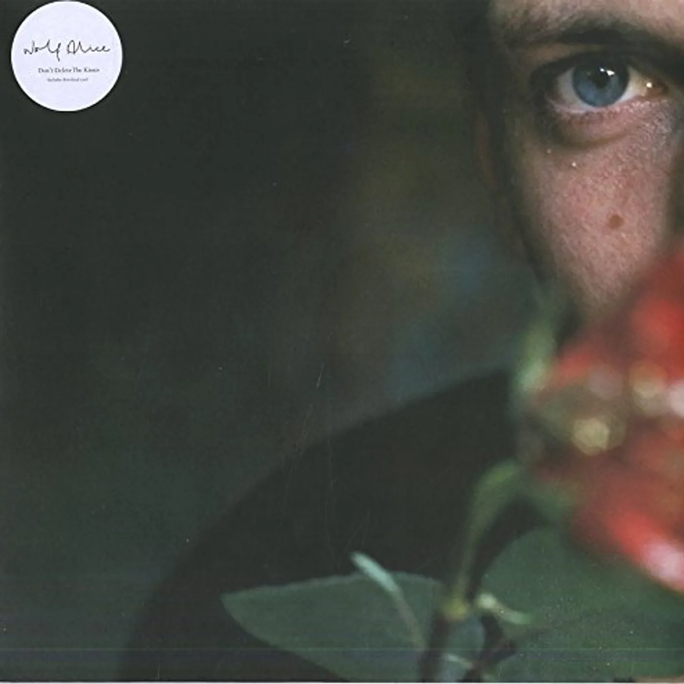 Wolf Alice Don't Delete The Kisses Vinyl Record