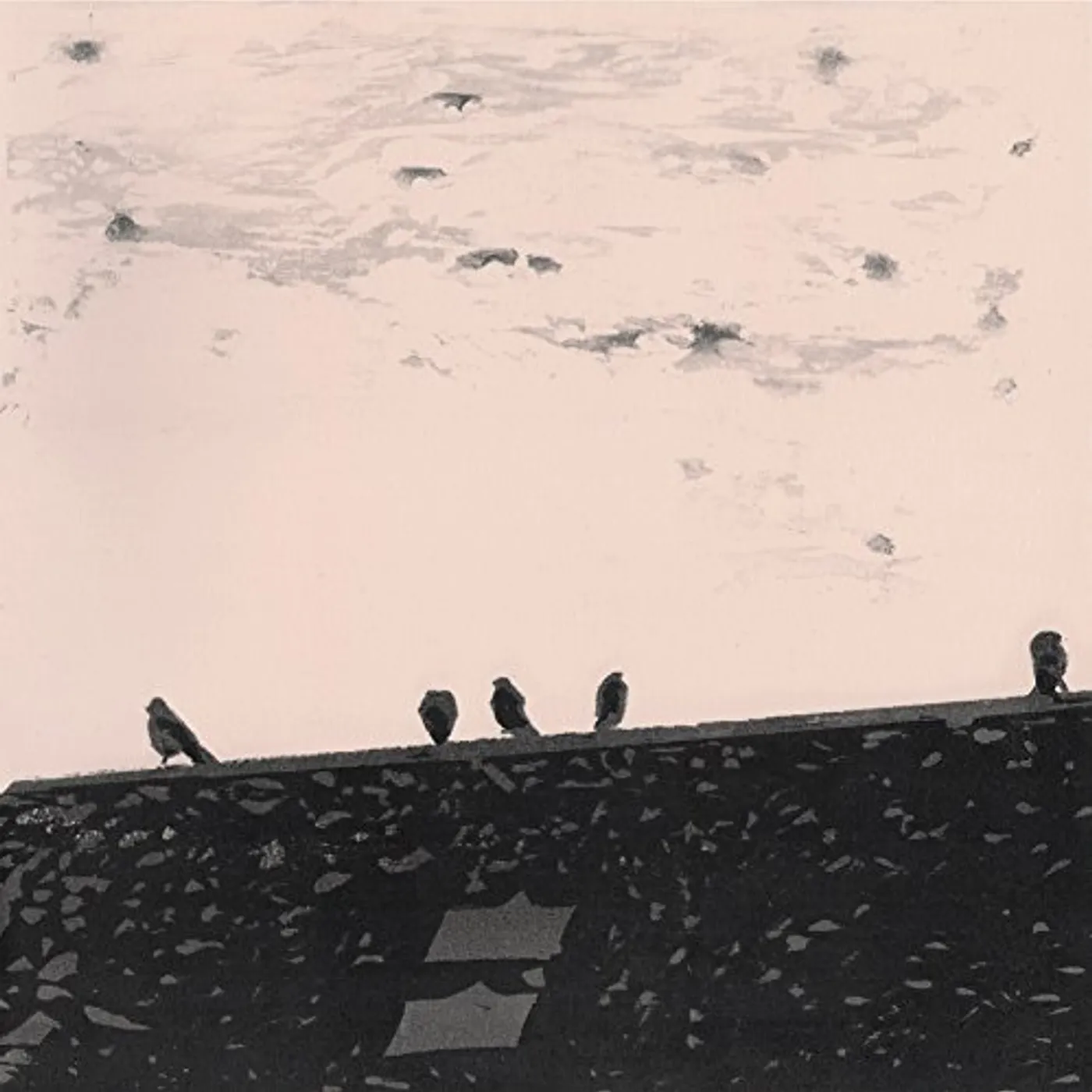 Stuart A. Staples ARRHYTHMIA CD