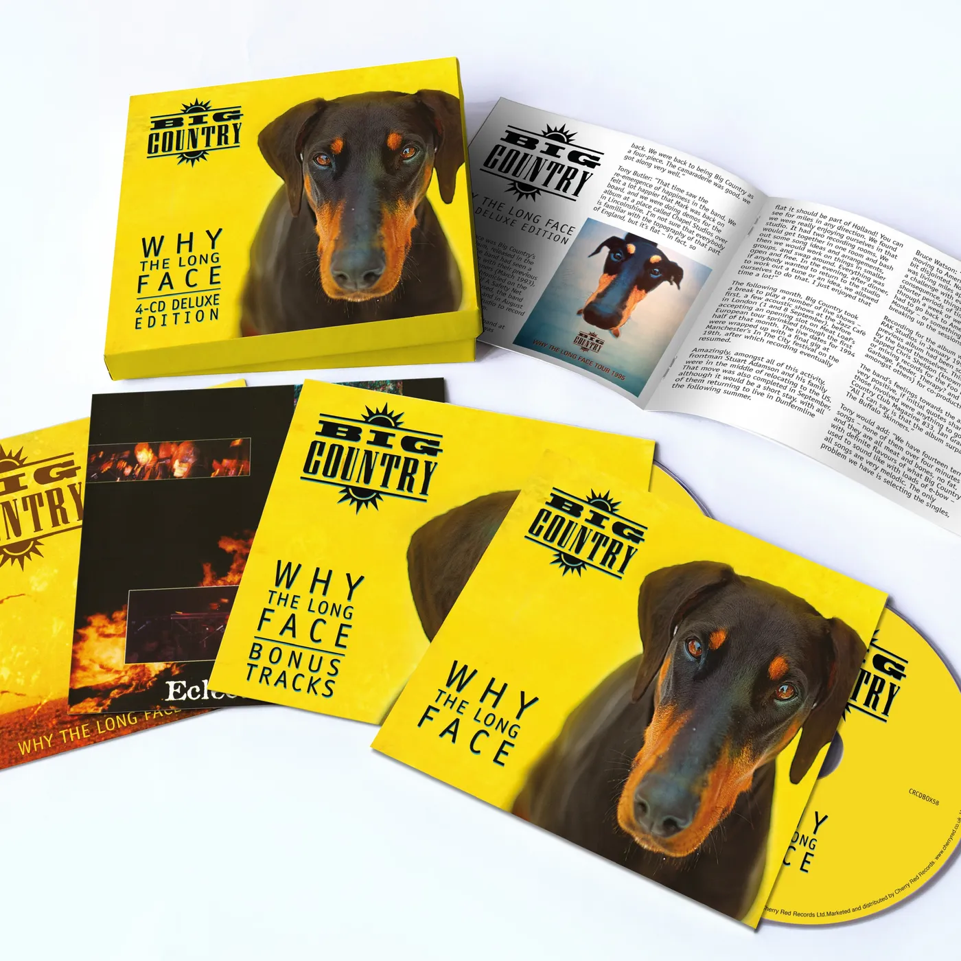 Big Country WHY THE LONG FACE CD