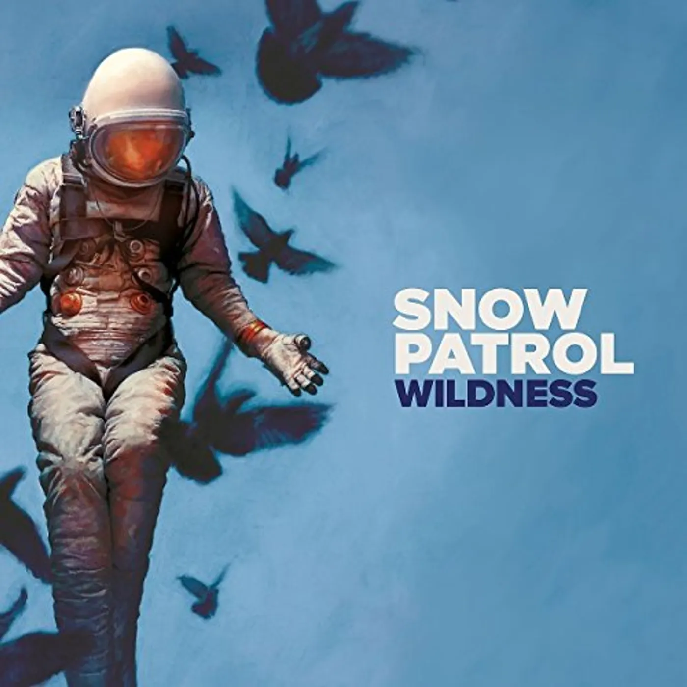 Snow Patrol WILDNESS (BOOKPACK) CD