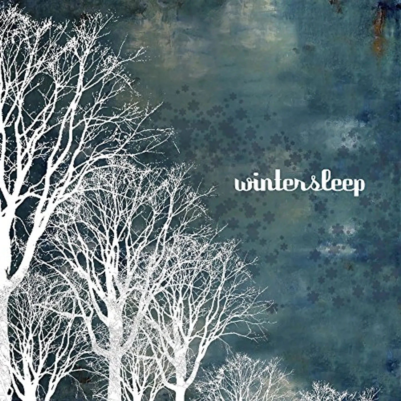 Wintersleep Vinyl Record