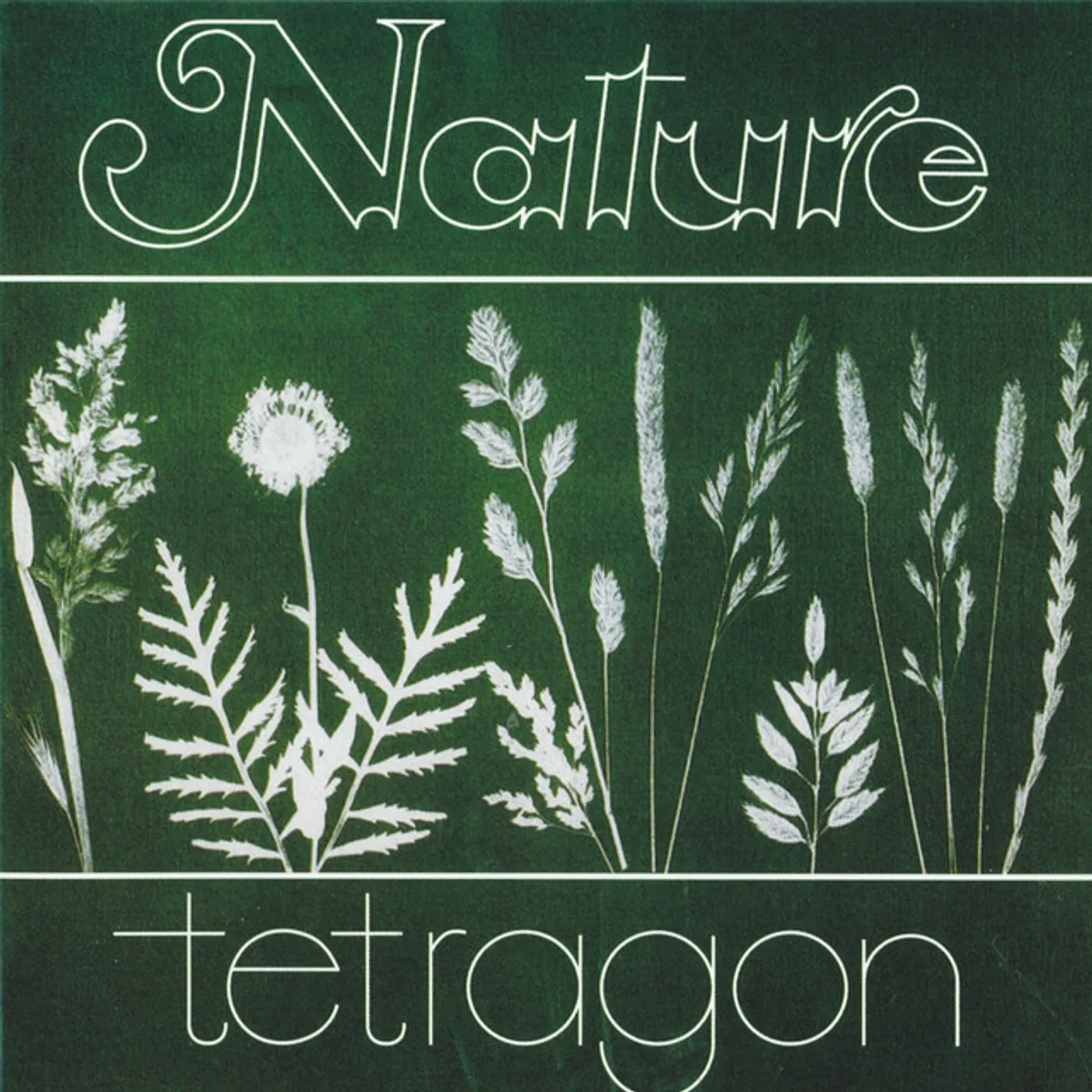 Tetragon Nature Vinyl Record