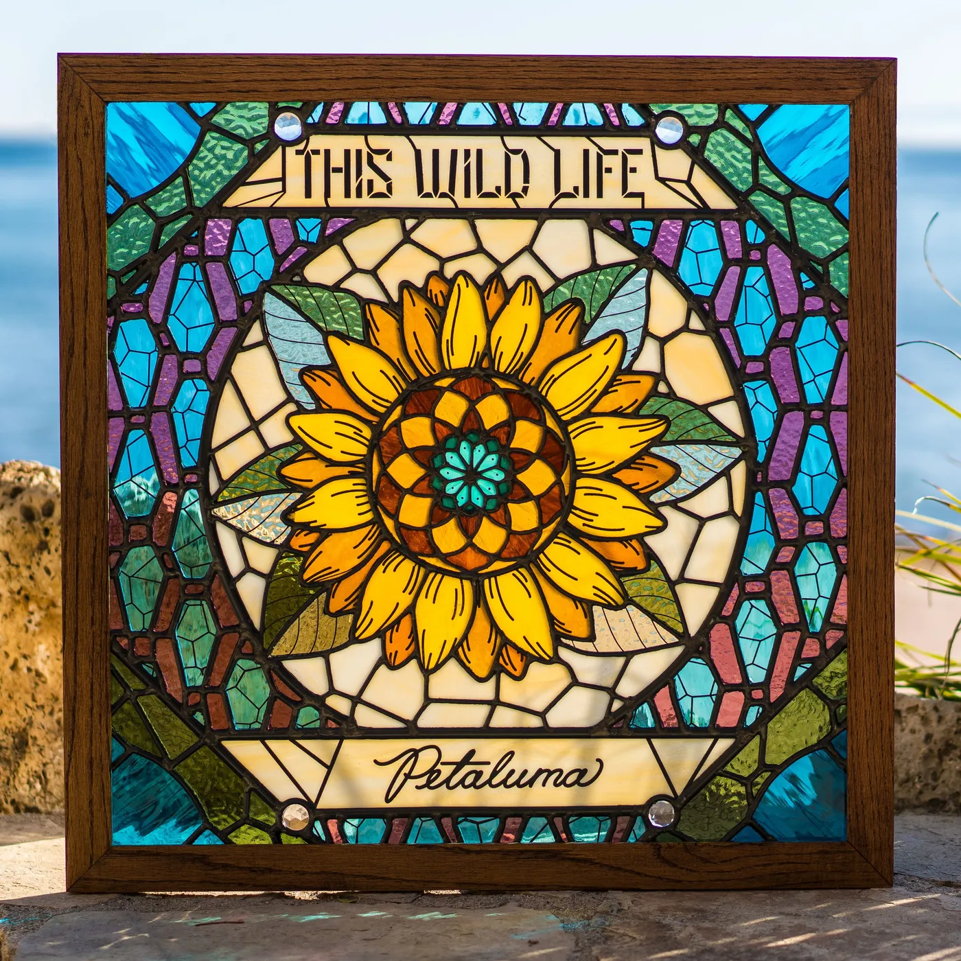 This Wild Life PETALUMA CD