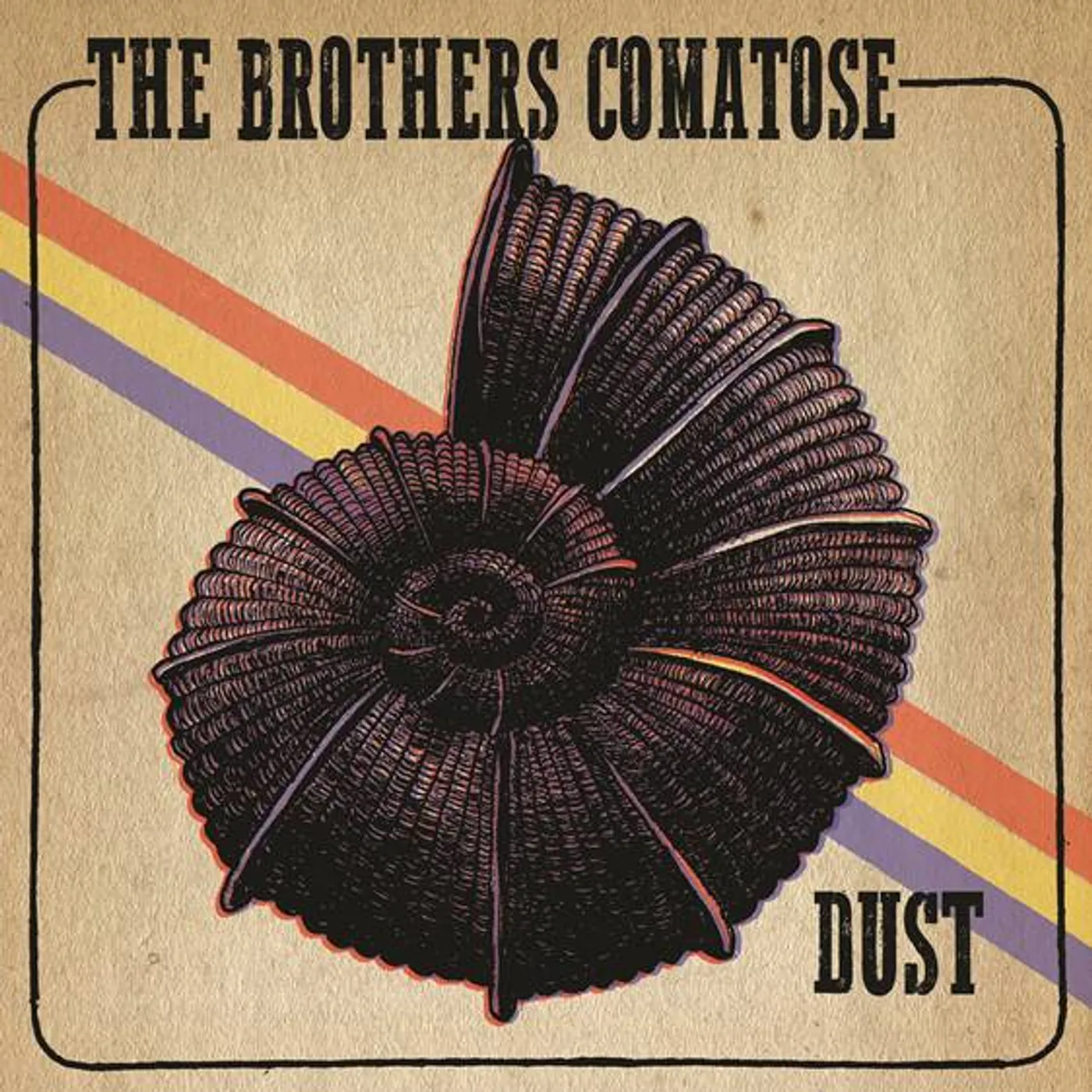The Brothers Comatose DUST Vinyl Record