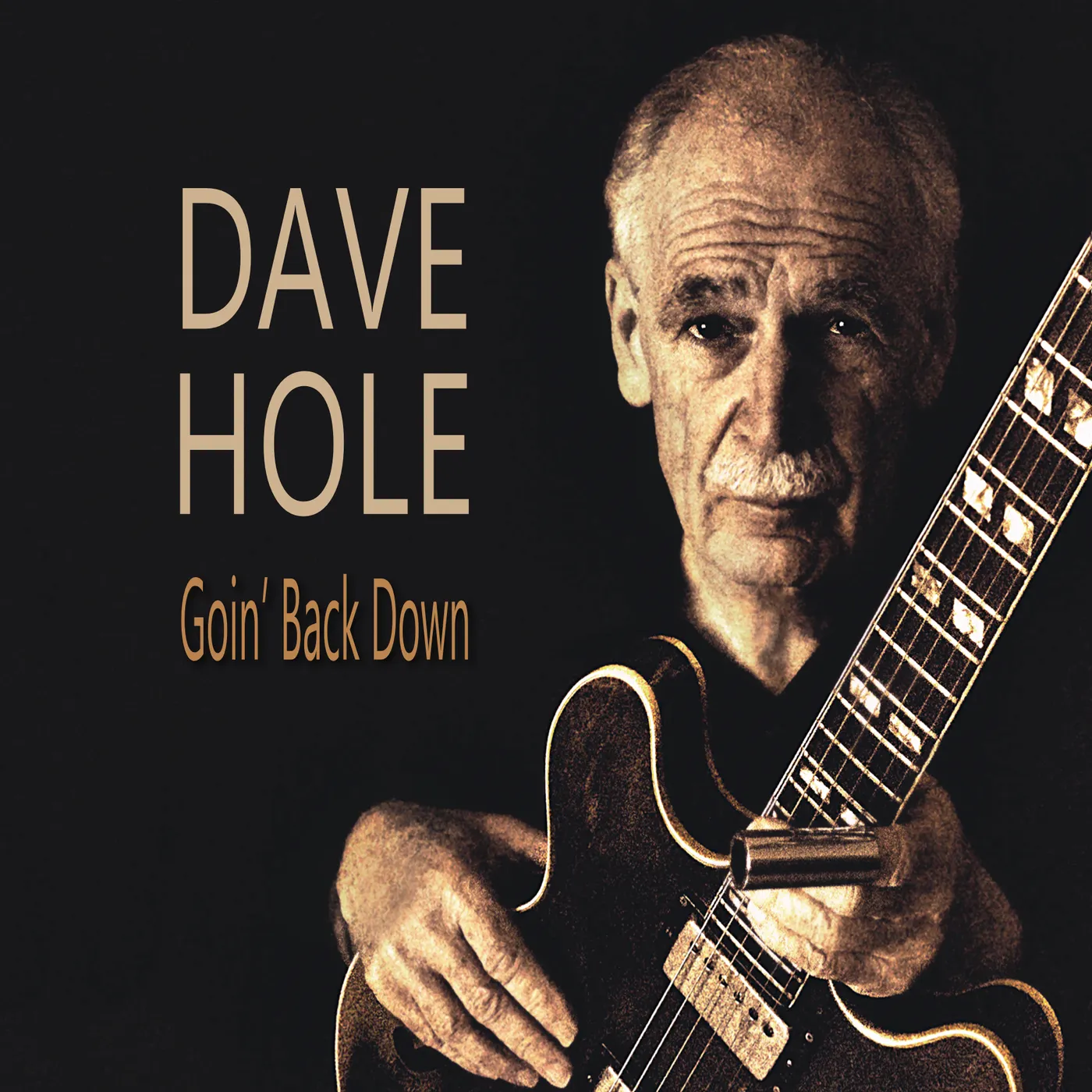 Dave Hole GOIN' BACK DOWN Vinyl Record