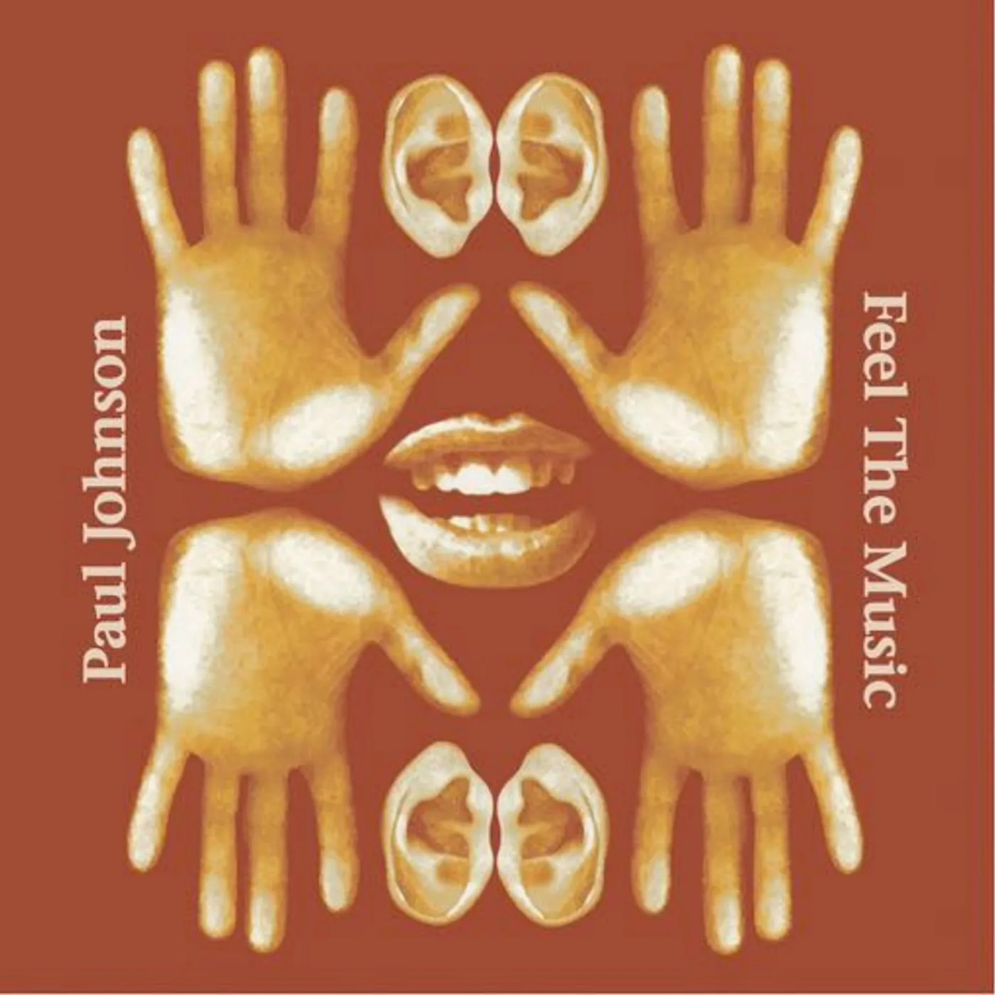 Paul Johnson Feel The Music Vinyl Record