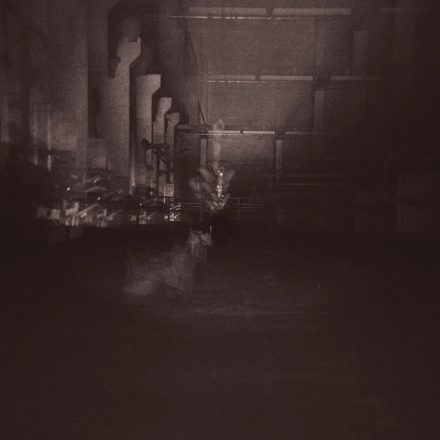 Dub Taylor Caves & Cages Vinyl Record