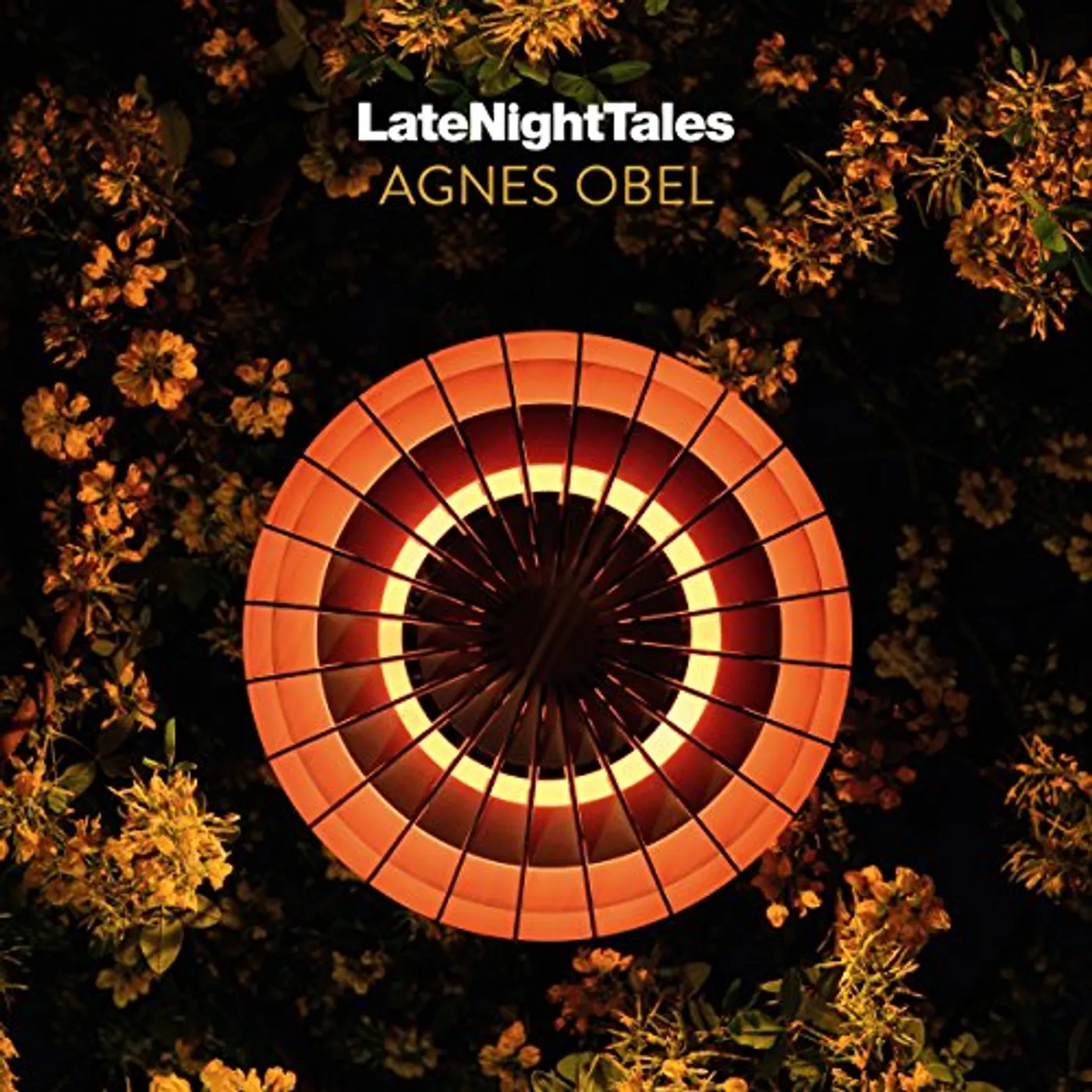 Late Night Tales: Agnes Obel Vinyl Record