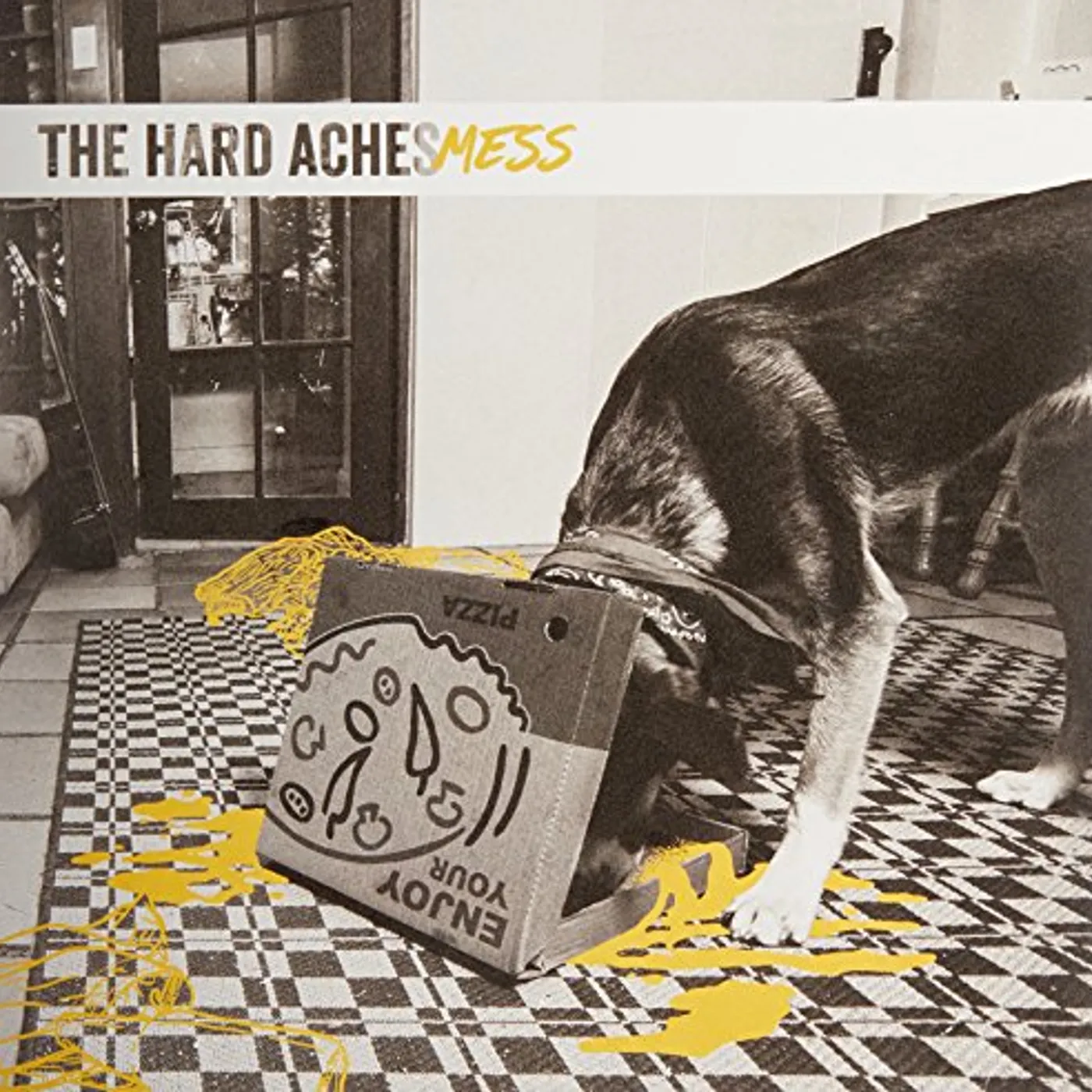 The Hard Aches Mess Vinyl Record