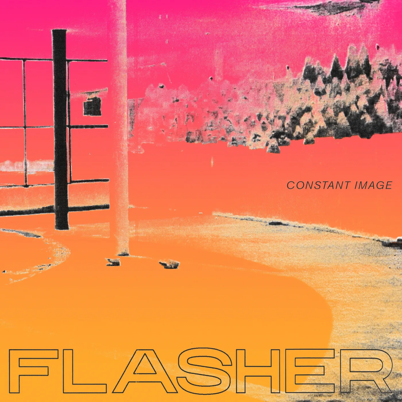 Flasher Constant Image Vinyl Record