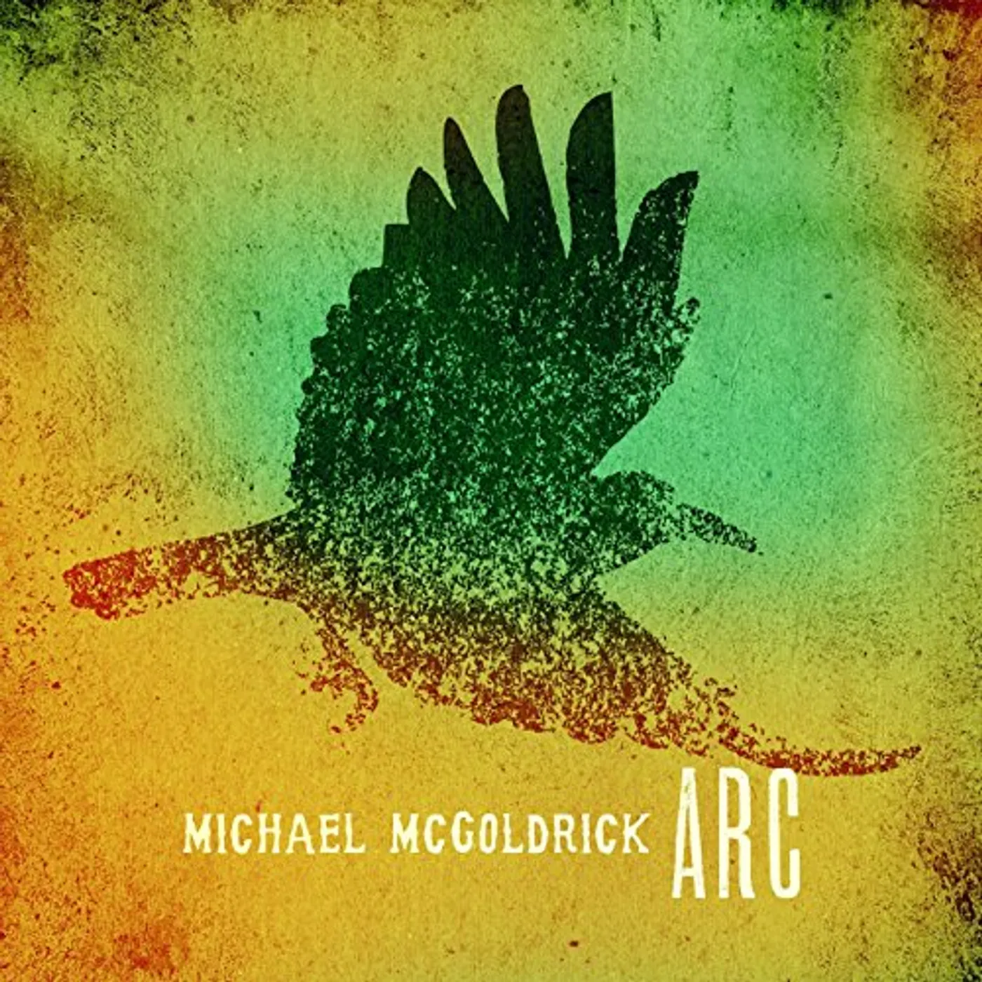 Michael McGoldrick ARC CD