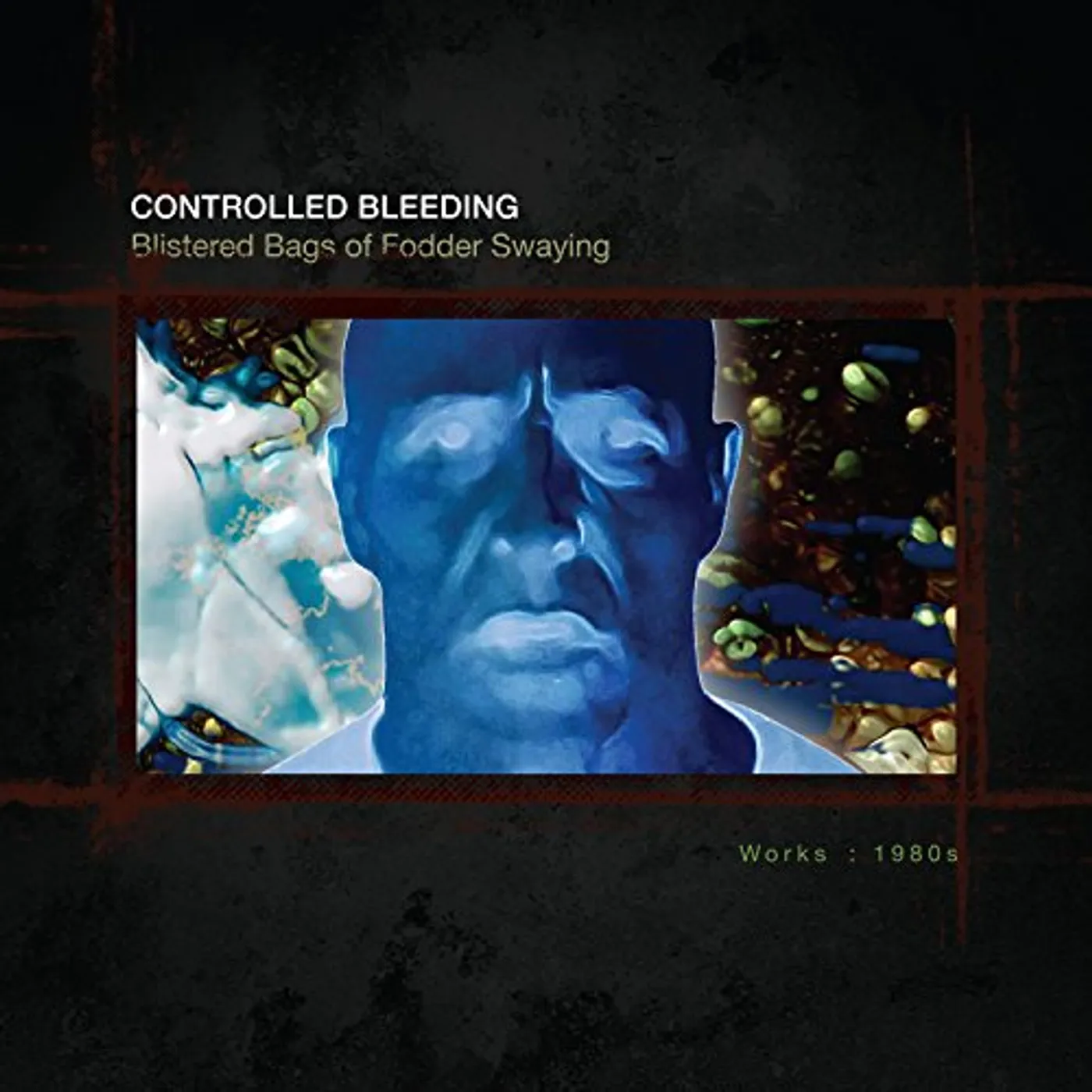 Controlled Bleeding BLISTERED BAGS OF FODDER SWAYING: WORKS 1980 CD