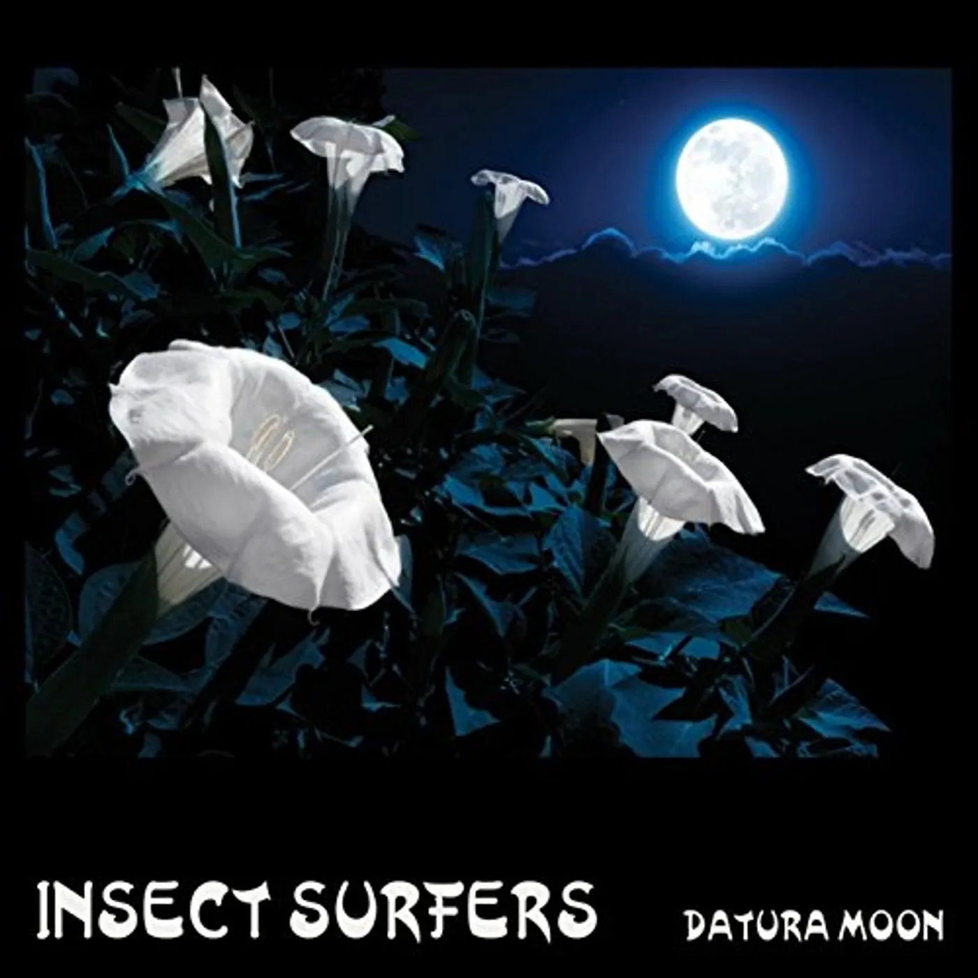 Insect Surfers DATURA MOON CD