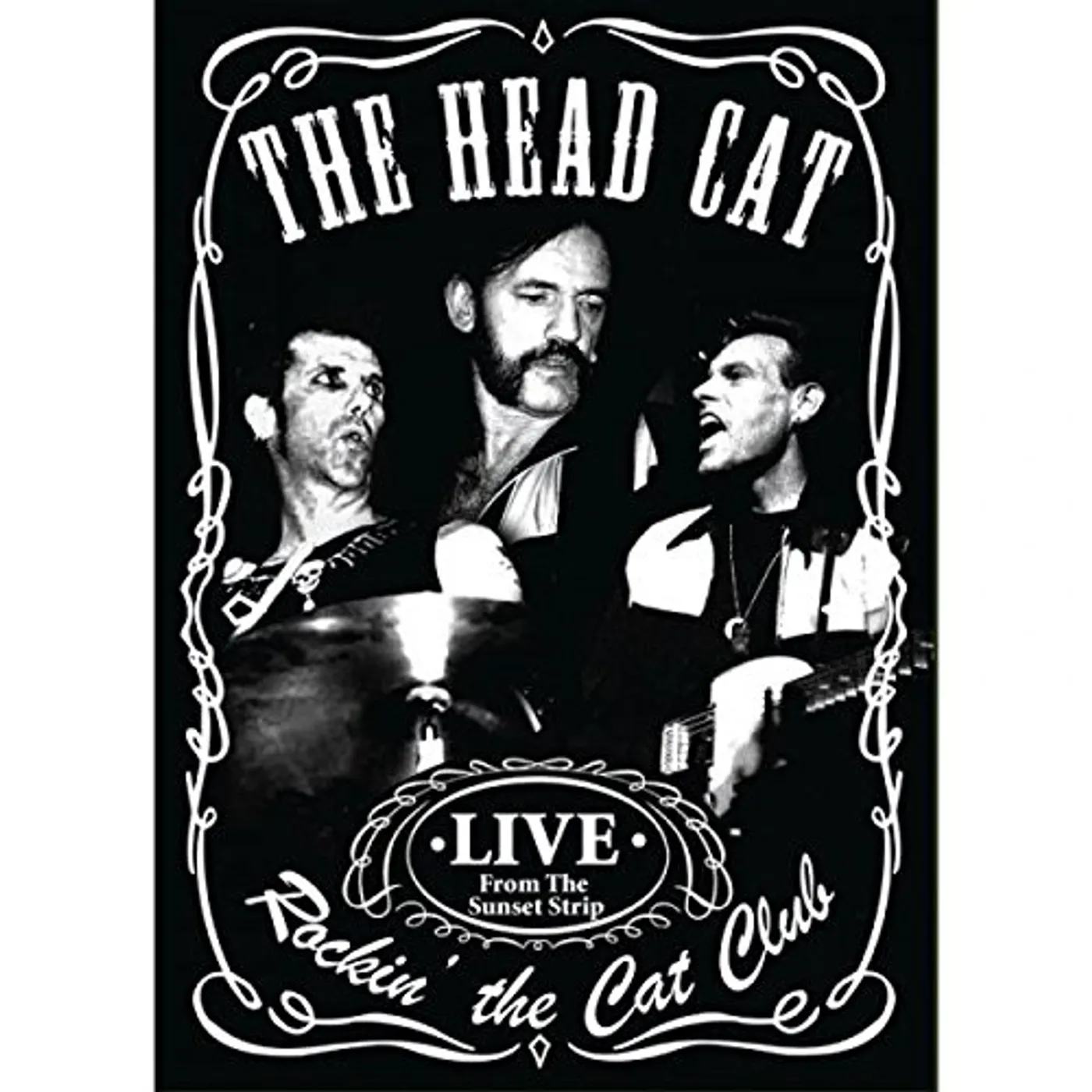 Head Cat ROCKIN' THE CAT CLUB DVD