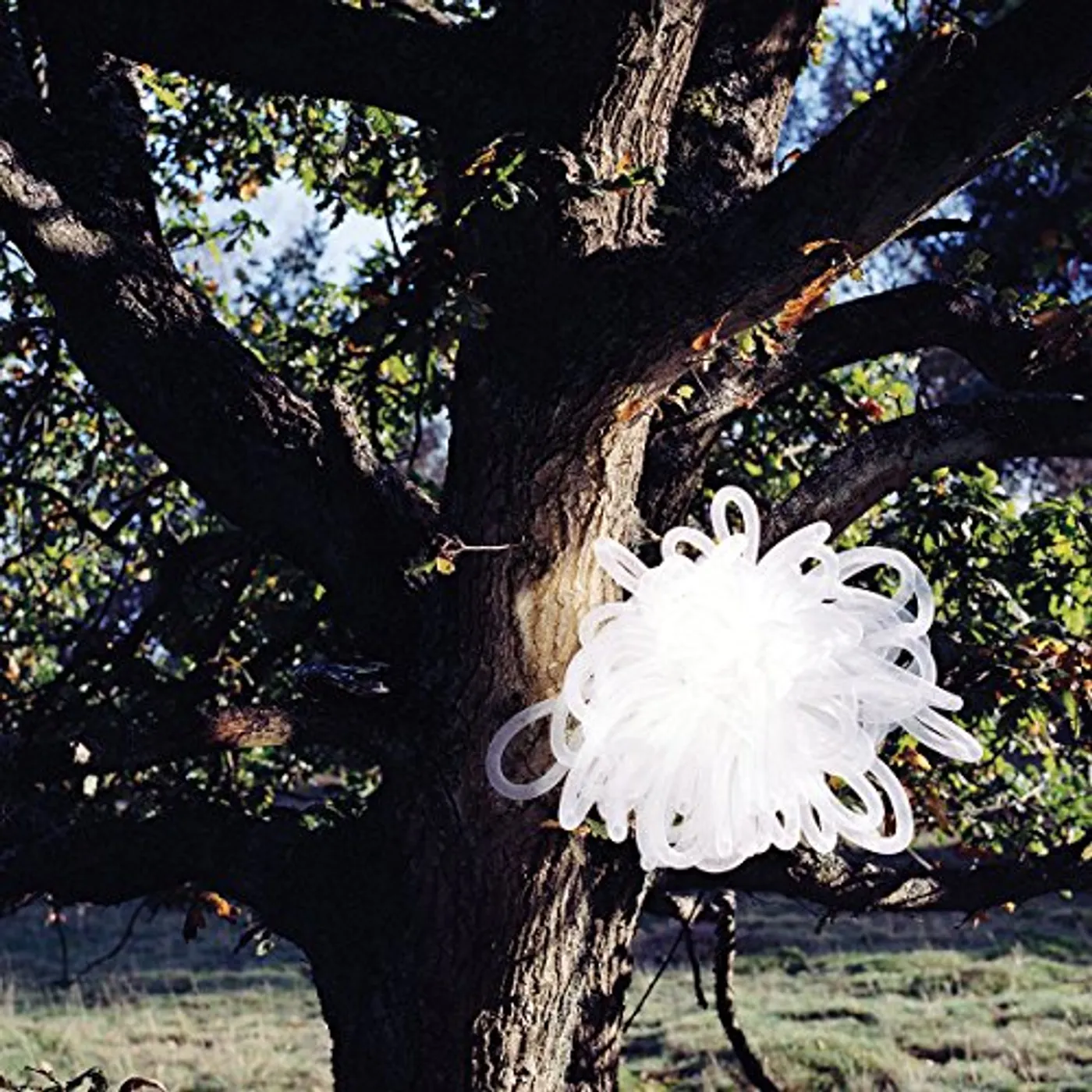 Gacha Bakradze RESTLESS Vinyl Record