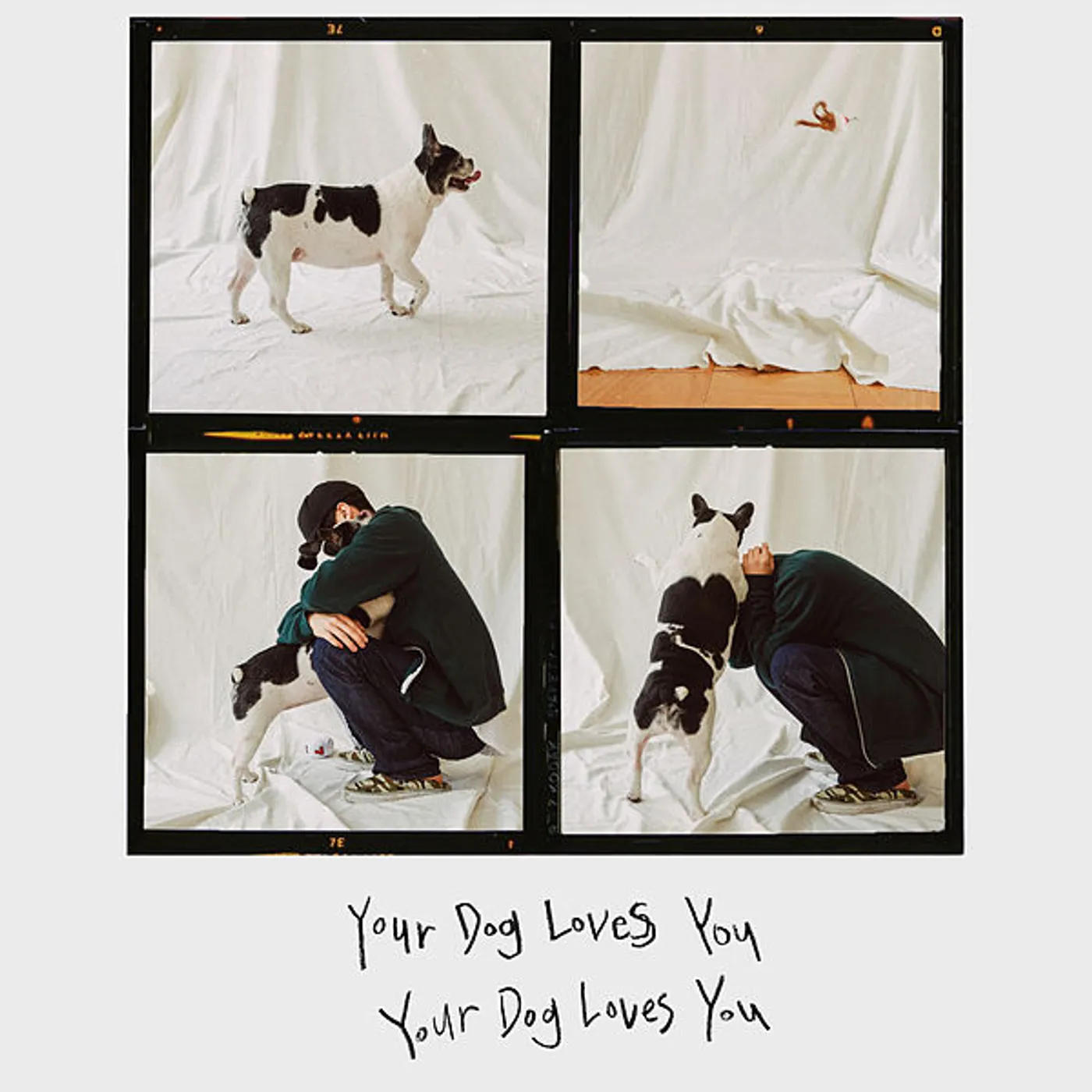Colde YOUR DOG LOVES YOU CD