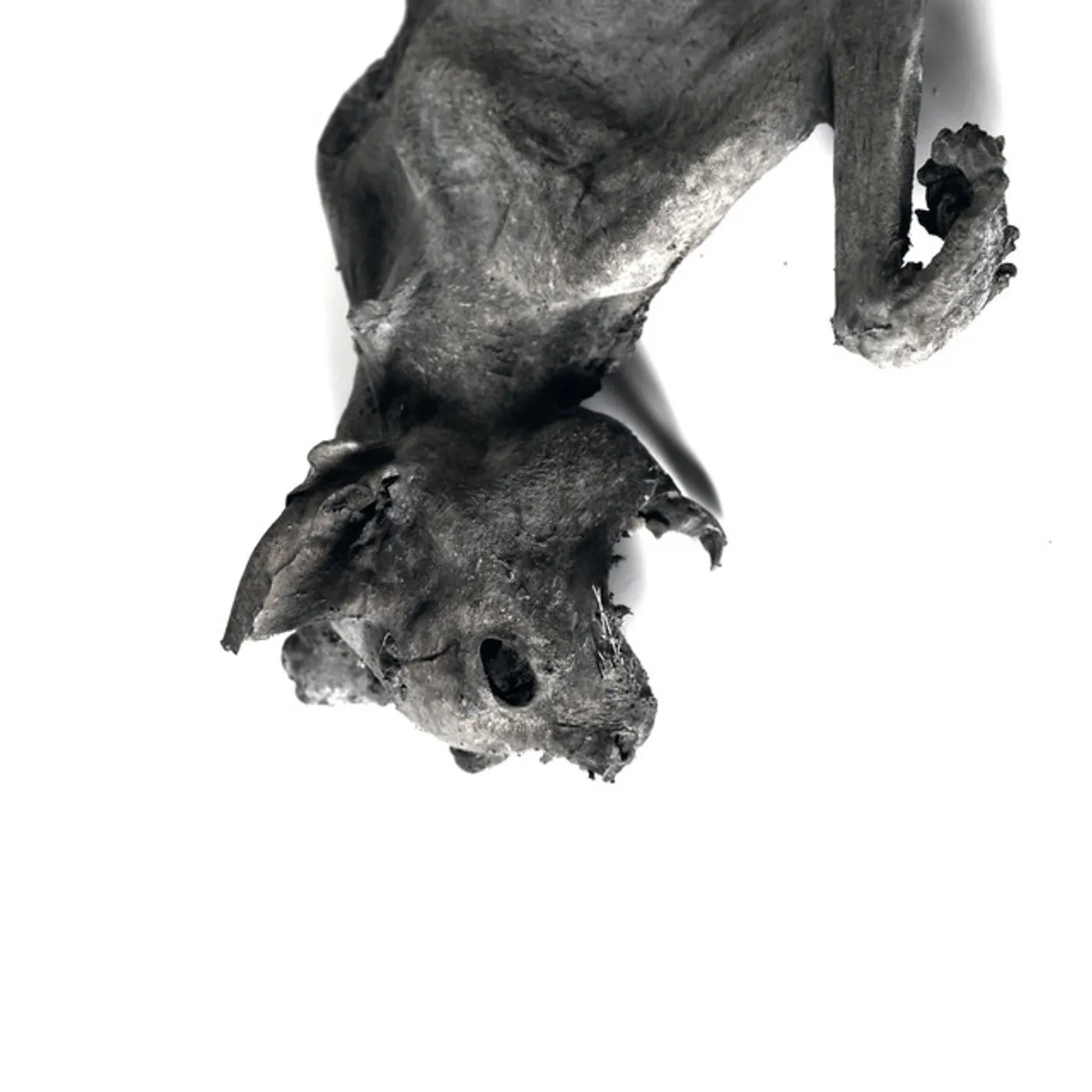 Nordvargr Metempsychosis Vinyl Record