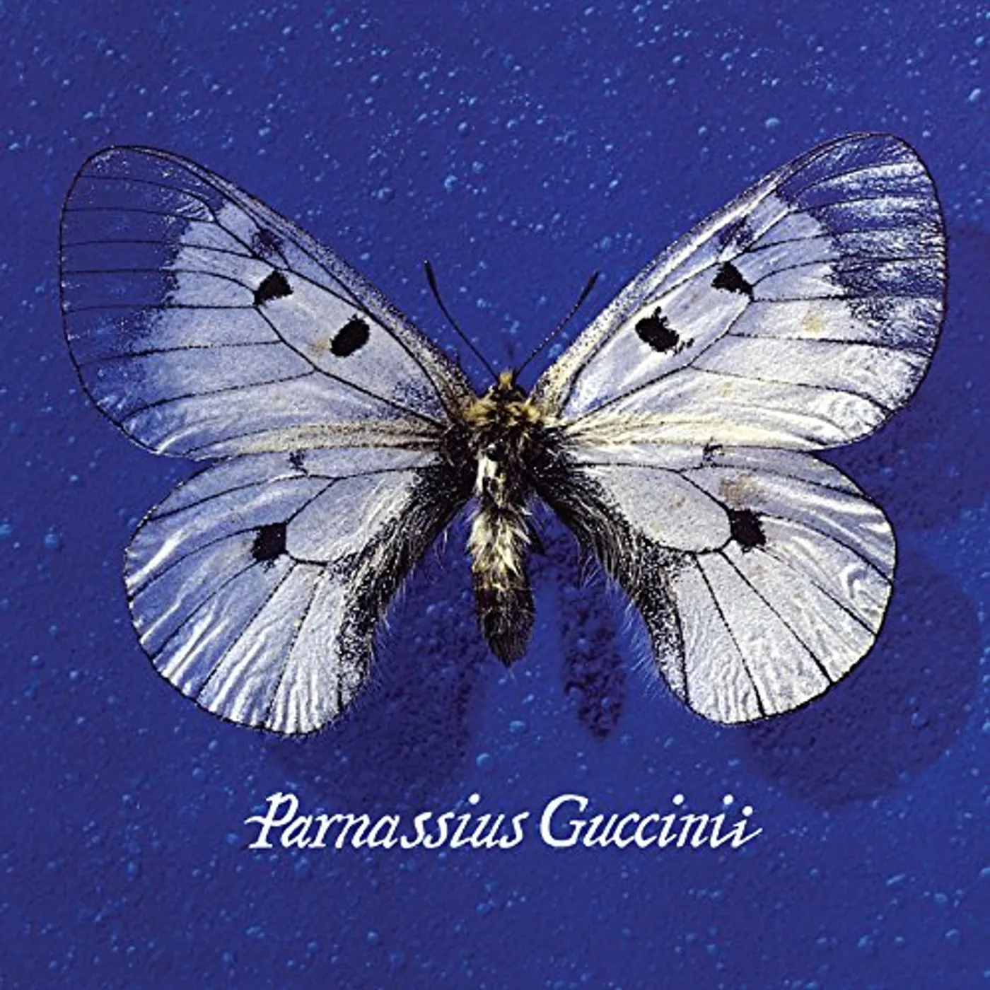 Francesco Guccini Parnassius Guccinii Vinyl Record
