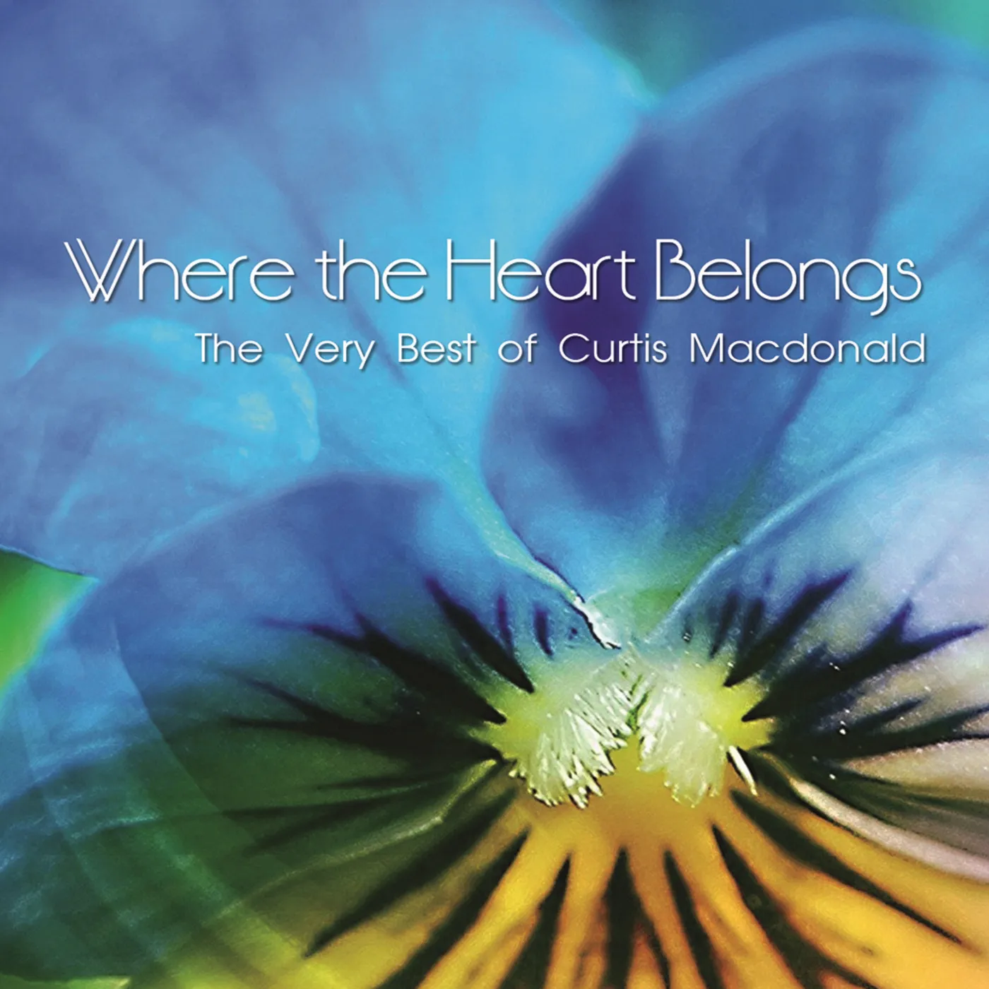 Curtis Macdonald WHERE THE HEART BELONGS CD