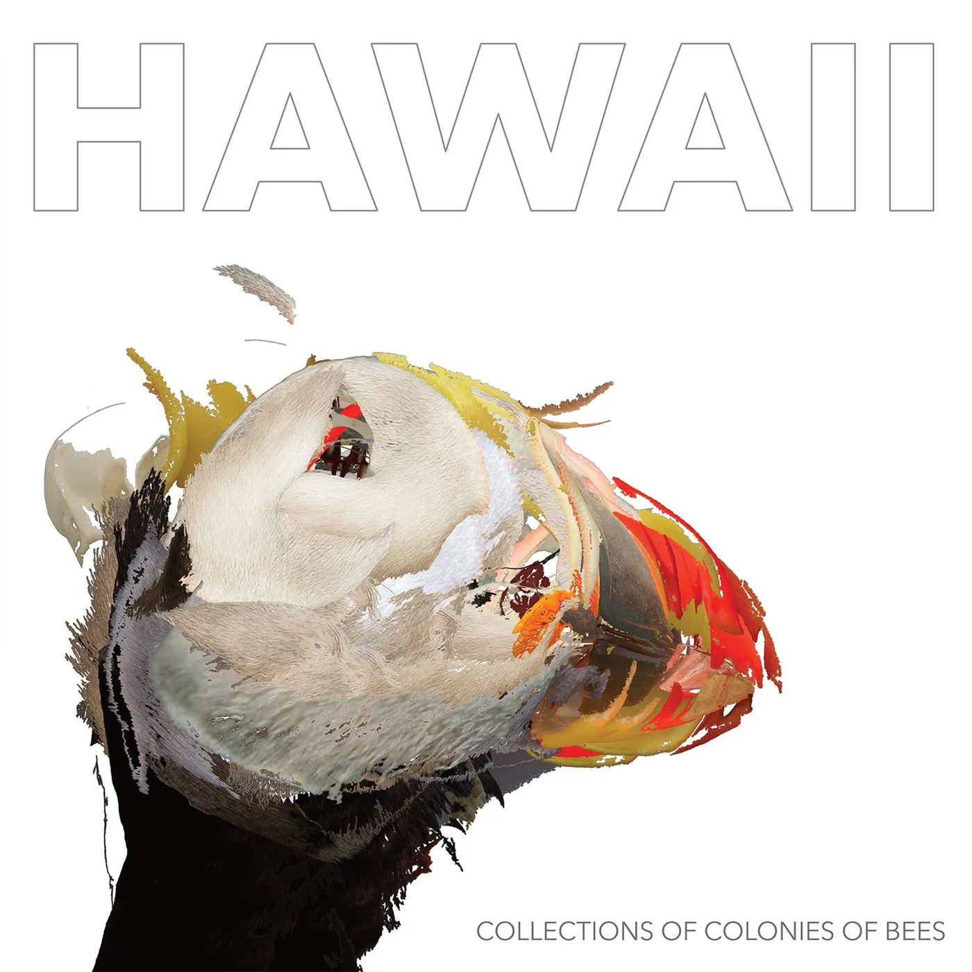 Collections Of Colonies Of Bees HAWAII Vinyl Record